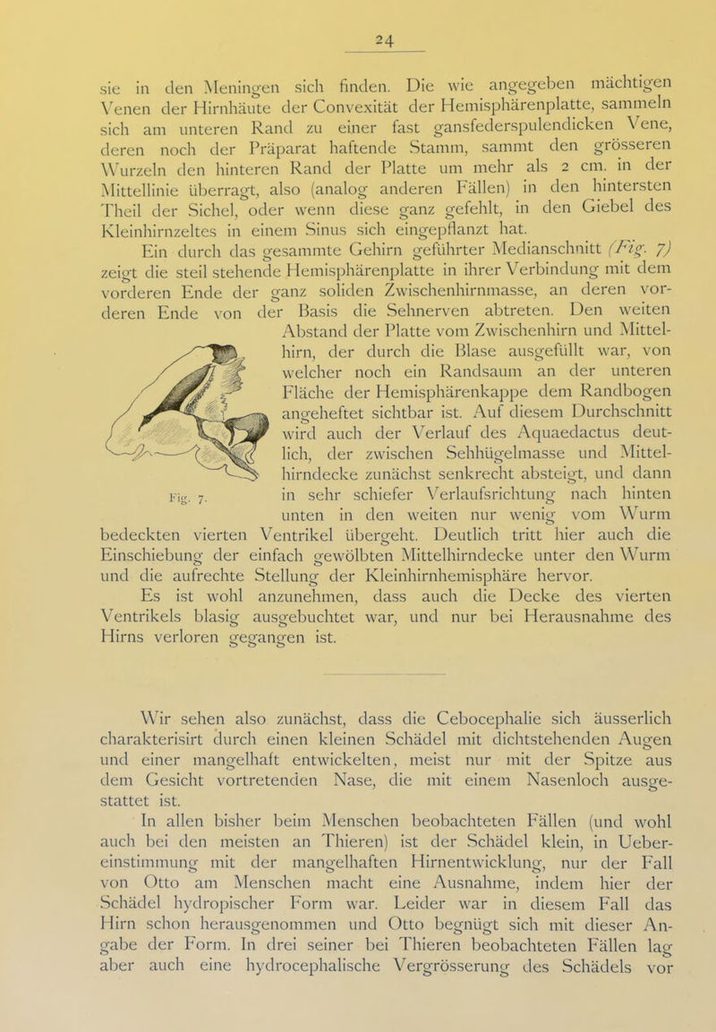 sie in den Meningen sicli finden. Die wie angegeben mächtigen Venen der Hirnhäute der Convexität der Hemisphärenplatte, sammeln sich am unteren Rand zu einer fast gansfederspulenclicken \ ene, deren noch der Präparat haftende Stamm, sammt den grösseren Wurzeln den hinteren Rand der Platte um mehr als 2 cm. in der Mittellinie überragt, also (analog anderen Fällen) in den hintersten Theil der Sichel, oder wenn diese ganz gefehlt, in den Giebel des Kleinhirnzeltes in einem Sinus sich eingepflanzt hat. Ein durch das gesammte Gehirn geführter Medianschnitt (Fig. 7) o O t zeigt die steil stehende Hemisphärenplatte in ihrer Verbindung mit dem vorderen Ende der ganz soliden Zwischenhirnmasse, an deren vor- o . deren Ende von der Basis die Sehnerven abtreten. Den weiten Abstand der Platte vom Zwischenhirn und Mittel- hirn, der durch die Blase ausgefüllt war, von welcher noch ein Randsaum an der unteren Fläche der Hemisphärenkappe dem Randbogen angeheftet sichtbar ist. Auf diesem Durchschnitt wird auch der Verlauf des Aquaedactus deut- lich, der zwischen Sehhiigelmasse und Mittel- hirndecke zunächst senkrecht absteigt, und dann in sehr schiefer Verlaufsrichtung nach hinten unten in den weiten nur wenig vom Wurm bedeckten vierten Ventrikel übergeht. Deutlich tritt hier auch die Einschiebung der einfach gewölbten Mittelhirndecke unter den Wurm und die aufrechte Stellung der Kleinhirnhemisphäre hervor. Es ist wohl anzunehmen, dass auch die Decke des vierten Ventrikels blasig ausgebuchtet war, und nur bei Herausnahme des Hirns verloren gegangen ist. Fig- 7- Wir sehen also zunächst, dass die Cebocephalie sich äusserlich charakterisirt durch einen kleinen Schädel mit dichtstehenden Augen und einer mangelhaft entwickelten, meist nur mit der Spitze aus dem Gesicht vortretenden Nase, die mit einem Nasenloch ausge- stattet ist. In allen bisher beim Menschen beobachteten Fällen (und wohl auch bei den meisten an Thieren) ist der Schädel klein, in Ueber- einstimmung mit der mangelhaften Hirnentwicklung, nur der Fall von Otto am Menschen macht eine Ausnahme, indem hier der Schädel hydropischer Form war. Leider war in diesem Fall das Hirn schon herausgenommen und Otto begnügt sich mit dieser An- gabe der Form. In drei seiner bei Thieren beobachteten Fällen lag aber auch eine hydrocephalische Vergrösserung des Schädels vor