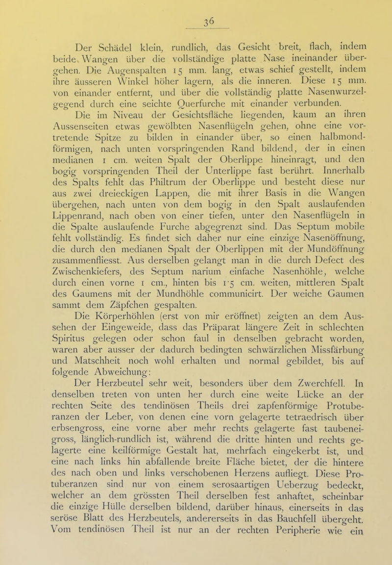 Der Schädel klein, rundlich, das Gesicht breit, flach, indem beide Wangen über die vollständige platte Nase ineinander über- gehen. Die Augenspalten 15 mm. lang, etwas schief gestellt, indem ihre äusseren Winkel höher lagern, als die inneren. Diese 15 mm. von einander entfernt, und über die vollständig platte Nasenwurzel- gegend durch eine seichte Ouerfurche mit einander verbunden. Die im Niveau der Gesichtsfläche liegenden, kaum an ihren Aussenseiten etwas gewölbten Nasenflügeln gehen, ohne eine vor- tretende Spitze zu bilden in einander über, so einen halbmond- förmigen, nach unten vorspringenden Rand bildend, der in einen medianen 1 cm. weiten Spalt der Oberlippe hineinragt, und den bogig vorspringenden Theil der Unterlippe fast berührt. Innerhalb des Spalts fehlt das Philtrum der Oberlippe und besteht diese nur aus zwei dreieckigen Lappen, die mit ihrer Basis in die Wangen übergehen, nach unten von dem bogig in den Spalt auslaufenden Lippenrand, nach oben von einer tiefen, unter den Nasenflügeln in die Spalte auslaufende Furche abgegrenzt sind. Das Septum mobile fehlt vollständig. Es findet sich daher nur eine einzige Nasenöffnung, die durch den medianen Spalt der Oberlippen mit der Mundöffnung zusammenfliesst. Aus derselben gelangt man in die durch Defect des Zwischenkiefers, des Septum narium einfache Nasenhöhle, welche durch einen vorne 1 cm., hinten bis i-5 cm. weiten, mittleren Spalt des Gaumens mit der Mundhöhle communicirt. Der weiche Gaumen sammt dem Zäpfchen gespalten. Die Körperhöhlen (erst von mir eröffnet) zeigten an dem Aus- sehen der Eingeweide, dass das Präparat längere Zeit in schlechten Spiritus gelegen oder schon faul in denselben gebracht worden, waren aber ausser der dadurch bedingten schwärzlichen Missfärbung und Matschheit noch wohl erhalten und normal gebildet, bis auf folgende Abweichung: Der Herzbeutel sehr weit, besonders über dem Zwerchfell. In denselben treten von unten her durch eine weite Lücke an der rechten Seite des tendinösen Theils drei zapfenförmige Protube- ranzen der Leber, von denen eine vorn gelagerte tetraedrisch über erbsengross, eine vorne aber mehr rechts gelagerte fast taubenei- gross, länglich-rundlich ist, während die dritte hinten und rechts ge- lagerte eine keilförmige Gestalt hat, mehrfach eingekerbt ist, und eine nach links hin abfallende breite Fläche bietet, der die hintere des nach oben und links verschobenen Herzens aufliegt. Diese Pro- o tuberanzen sind nur von einem serosaartigen Ueberzug bedeckt welcher an dem grössten Theil derselben fest anhaftet, scheinbar die einzige Hülle derselben bildend, darüber hinaus, einerseits in das seröse Blatt des Herzbeutels, andererseits in das Bauchfell übergeht.