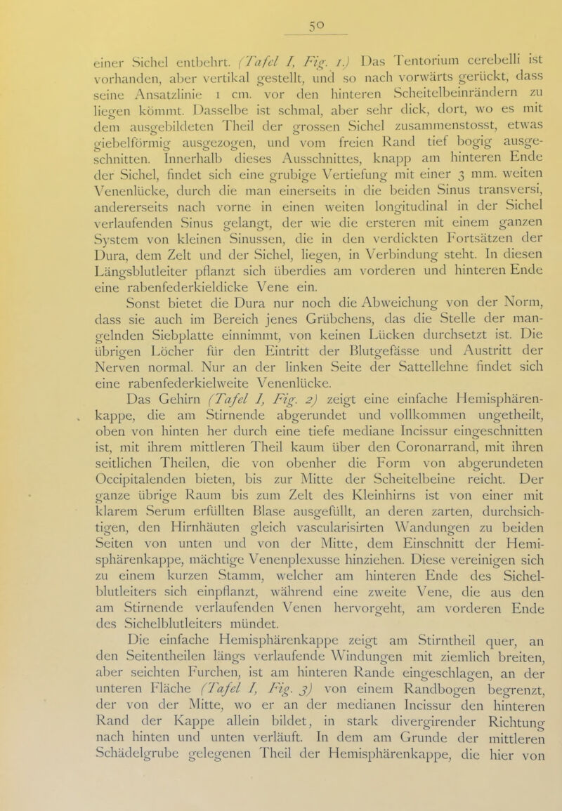 5° einer Sichel entbehrt. (Tafel f Fig. i) Das I entorium cerebelli ist vorhanden, aber vertikal gestellt, und so nach vorwärts gerückt, dass seine Ansatzlinie i cm. vor den hinteren Scheitelbeinrändern zu liegen kömmt. Dasselbe ist schmal, aber sehr dick, dort, wo es mit dem ausgebildeten Theil der grossen Sichel zusammenstosst, etwas giebelförmig ausgezogen, und vom freien Rand tief bogig ausge- schnitten. Innerhalb dieses Ausschnittes, knapp am hinteren Ende der Sichel, findet sich eine grubige Vertiefung mit einer 3 mm. weiten Venenlücke, durch die man einerseits in die beiden Sinus transversi, andererseits nach vorne in einen weiten longitudinal in der Sichel verlaufenden Sinus gelangt, der wie die ersteren mit einem ganzen System von kleinen Sinussen, die in den verdickten Fortsätzen der Dura, dem Zelt und der Sichel, liegen, in Verbindung steht. In diesen Längsblutleiter pflanzt sich überdies am vorderen und hinteren Ende eine rabenfederkieldicke Vene ein. Sonst bietet die Dura nur noch die Abweichung von der Norm, dass sie auch im Bereich jenes Grübchens, das die Stelle der man- gelnden Siebplatte einnimmt, von keinen Lücken durchsetzt ist. Die übrigen Löcher für den Eintritt der Blutgefässe und Austritt der Nerven normal. Nur an der linken Seite der Sattellehne findet sich eine rabenfederkielweite Venenlücke. Das Gehirn (Tafel 1, Fig. 2) zeigt eine einfache Hemisphären- kappe, die am Stirnende abgerundet und vollkommen ungetheilt, oben von hinten her durch eine tiefe mediane Incissur eingeschnitten ist, mit ihrem mittleren Theil kaum über den Coronarrand, mit ihren seitlichen Theilen, die von obenher die Form von abgerundeten Occipitalenden bieten, bis zur Mitte der Scheitelbeine reicht. Der ganze übrige Raum bis zum Zelt des Kleinhirns ist von einer mit klarem Serum erfüllten Blase ausgefüllt, an deren zarten, durchsich- tigen, den Hirnhäuten gleich vascularisirten Wandungen zu beiden Seiten von unten und von der Mitte, dem Einschnitt der Hemi- sphärenkappe, mächtige Venenplexusse hinziehen. Diese vereinigen sich zu einem kurzen Stamm, welcher am hinteren Ende des Sichel- blutleiters sich einpflanzt, während eine zweite Vene, die aus den am Stirnende verlaufenden Venen hervorgeht, am vorderen Ende des Sichelblutleiters mündet. Die einfache Hemisphärenkappe zeigt am Stirntheil quer, an den Seitentheilen längs verlaufende Windungen mit ziemlich breiten, aber seichten Furchen, ist am hinteren Rande eingeschlagen, an der unteren Fläche (Tafel I, Fig. j) von einem Randbogen begrenzt, der von der Mitte, wo er an der medianen Incissur den hinteren Rand der Kappe allein bildet, in stark divergirender Richtung nach hinten und unten verläuft. In dem am Grunde der mittleren Schädelgrube gelegenen Theil der Hemisphärenkappe, die hier von