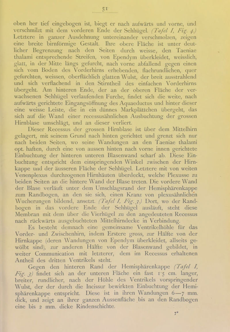 oben her tief eingebogen ist, biegt er nach aufwärts und vorne, und verschmilzt mit dem vorderen Ende der Sehhügel. (Tafel I, Fig. 4.) Letztere in ganzer Ausdehnung untereinander verschmolzen, zeigen eine breite bimförmige Gestalt. Ihre obere Fläche ist unter deut- lieber Begrenzung nach den Seiten durch weisse, den Taeniae 00 / thalami entsprechende Streifen, von Ependym überkleidet, weisslich, glatt, in der Mitte längs gefurcht, nach vorne abfallend gegen einen sich vom Boden des Vorderhirns erhebenden, flachrundlichen, quer gefurchten, weissen, oberflächlich glatten Wulst, der breit ausstrahlend und sich verflachend in den Stirntheil des einfachen Vorderhirns übergeht. Am hinteren Ende, der an der oberen Fläche der ver- wachsenen Sehhügel verlaufenden Furche, findet sich die weite, nach aufwärts gerichtete Eingangsöffnung des Aquaeductus und hinter dieser eine weisse Leiste, die in ein dünnes Markplättchen übergeht, das sich auf die Wand einer recessusähnlichen Ausbuchtung der grossen Hirnblase umschlägt, und an dieser verliert. o y Dieser Recessus der grossen Hirnblase ist über dem Mittelhirn o gelagert, mit seinem Grund nach hinten gerichtet und grenzt sich nur nach beiden Seiten, wo seine Wandungen an den Taeniae thalami opt. haften, durch eine von aussen hinten nach vorne innen gerichtete Einbuchtung der hinteren unteren Blasenwand scharf ab. Diese Ein- buchtung entspricht dem einspringenden Winkel zwischen der Hirn- kappe und der äusseren Fläche der Sehhügel. Letztere mit von weiten Venenplexus durchzogenen Hirnhäuten überdeckt, welche Plexusse zu beiden Seiten an die hintere Wand der Blase treten. Die vordere Wand der Blase verläuft unter dem Umschlagsrand der Hemisphärenkappe zum Randbogen, an den sie sich, einen Kranz von plexusähnlichen Wucherungen bildend, ansetzt. (Tafel /, Fig. j) Dort, wo der Rand- bogen in das vordere Ende der Sehhügel ausläuft, steht diese Membran mit dem über die Vierhügel zu den angedeuteten Recessus nach rückwärts ausgebuchteten Mittelhirndecke in Verbindung. Es besteht demnach eine gemeinsame Ventrikelhöhle für das Vorder- und Zwischenhirn, indem Erstere gross, zur Hälfte von der Hirnkappe (deren Wandungen von Ependym überkleidet, allseits ge- wölbt sind), zur anderen Hälfte von der Blasenwand gebildet, in weiter Communication mit letzterer, dem im Recessus erhaltenen Antheil des dritten Ventrikels steht. Gegen den hinteren Rand der Hemisphärenkappe (Tafel I, Fig. j) findet sich an der unteren Fläche ein fast 15 cm. langer, breiter, rundlicher, nach der Höhle des Ventrikels vorspringender Wulst, der der durch die Incissur bewirkten Einbuchtung der Hemi- sphärenkappe entspricht. Diese ist in ihren Wandungen 6—7 mm. dick, und zeigt an ihrer ganzen Aussenfläche bis an den Randbogen eine bis 2 mm. dicke Rindenschichte. 7*
