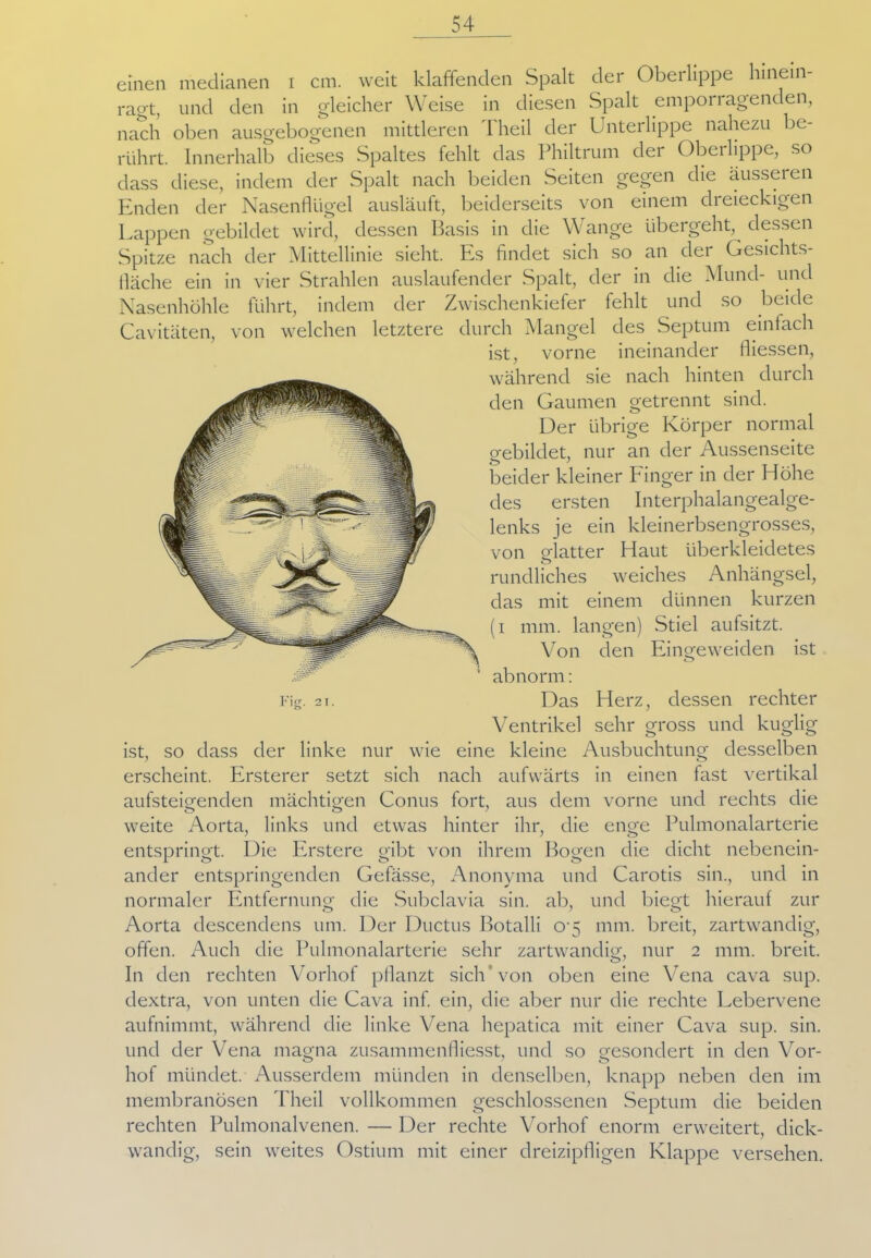 einen medianen i cm. weit klaffenden Spalt der Oberlippe hinein- raot, und den in gleicher Weise in diesen Spalt emporragenden, nach oben ausgebogenen mittleren Theil der Unterlippe nahezu be- rührt. Innerhalb dieses Spaltes fehlt das Philtrum der Oberlippe, so dass diese, indem der Spalt nach beiden Seiten gegen die äusseren Enden der Nasenflügel ausläuft, beiderseits von einem cli eieckigen Lappen gebildet wird, dessen Basis in die Wange übergeht, dessen Spitze nach der Mittellinie sieht. Es findet sich so an der Gesichts- fiäche ein in vier Strahlen auslaufender Spalt, der in die Mund- und Nasenhöhle führt, indem der Zwischenkiefer fehlt und so beide Cavitäten, von welchen letztere durch Mangel des Septum einfach ist, vorne ineinander fliessen, während sie nach hinten durch den Gaumen getrennt sind. Der übrige Körper normal gebildet, nur an der Aussenseite beider kleiner Finger in der Höhe des ersten Interphalangealge- lenks je ein kleinerbsengrosses, von glatter Haut überkleidetes rundliches weiches Anhängsel, das mit einem dünnen kurzen (i mm. langen) Stiel aufsitzt. Von den Eingeweiden ist abnorm: Das Herz, dessen rechter Ventrikel sehr gross und kuglig ist, so dass der linke nur wie eine kleine Ausbuchtung desselben erscheint. Ersterer setzt sich nach aufwärts in einen fast vertikal aufsteigenden mächtigen Conus fort, aus dem vorne und rechts die weite Aorta, links und etwas hinter ihr, die enge Pulmonalarterie entspringt. Die Erstere gibt von ihrem Bogen die dicht nebenein- ander entspringenden Gefässe, Anonyma und Carotis sin., und in normaler Entfernung die Subclavia sin. ab, und biegt hierauf zur Aorta descendens um. Der Ductus Botalli 0^5 mm. breit, zartwandig, offen. Auch die Pulmonalarterie sehr zartwandig, nur 2 mm. breit. In den rechten Vorhof pflanzt sich von oben eine Vena cava sup. dextra, von unten die Cava inf. ein, die aber nur die rechte Lebervene aufnimmt, während die linke Vena hepatica mit einer Cava sup. sin. und der Vena magna zusammenfliesst, und so gesondert in den Vor- hof mündet. Ausserdem münden in denselben, knapp neben den im membranösen Theil vollkommen geschlossenen Septum die beiden rechten Pulmonalvenen. — Der rechte Vorhof enorm erweitert, dick- wandig, sein weites Ostium mit einer dreizipfligen Klappe versehen.