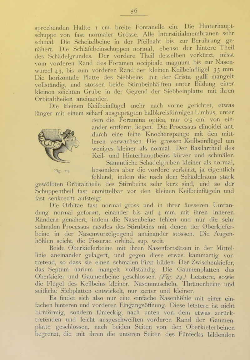 sprechenden schuppe von schmal. Die nähert. Die des Schäclel?'i Hüllte 1 cm. breite Fontanelle ein. Die Hinterhaupt- fast normaler Grösse. Alle Interstitialmembranen sehr Scheitelbeine in der Pfeilnaht bis zur Berührung ge- Schläfebeinschuppen normal, ebenso der hintere 1 heil rundes. Der vordere Theil desselben verkürzt, misst vom vorderen Rand des Foramen occipitale magnum bis zur Nasen- wurzel 43, bis zum vorderen Rand der kleinen Keilbeinflügel 35 mm. Die horizontale Platte des Siebbeins mit der Crista galli mangelt vollständig, und stossen beide Stirnbeinhälften unter Bildung einer kleinen seichten Grube in der Gegend der Siebbeinplatte mit ihren Orbitaltheilen aneinander. Die kleinen Keilbeinflügel mehr nach vorne gerichtet, etwas länger mit einem scharf ausgeprägten halbkreisförmigen Limbus, unter dem die Foramina optica, nur 0 5 cm. von ein- ander entfernt, liegen. Die Processus clinoidei ant. durch eine feine Knochenspange mit den mitt- leren verwachsen. Die grossen Keilbeinflügel um weniges kleiner als normal. Der Basilartheil des Keil- und Hinterhauptbeins kürzer und schmäler. Sämmtliche Schädelgruben kleiner als normal, besonders aber die vordere verkürzt, ja eigentlich fehlend, indem die nach dem Schädelraum stark gewölbten Orbitaltheile des Stirnbeins sehr kurz sind, und so der Fi 24. Schuppentheil fast unmittelbar vor den kleinen Keilbeinflügeln O und fast senkrecht aufsteigt. o Die Orbitae fast normal gross und in ihrer äusseren Umran- dung normal geformt, einander bis auf 4 mm. mit ihren inneren Rändern genähert, indem die Nasenbeine fehlen und nur die sehr schmalen Processus nasales des Stirnbeins mit denen der Oberkiefer- beine in der Nasenwurzelgegend aneinander stossen. Die Augen- höhlen seicht, die Fissurae orbital, sup. weit. Beide Oberkieferbeine mit ihren Nasenfortsätzen in der Mittel- linie aneinander gelagert, und gegen diese etwas kammartig vor- 00' 00 o tretend, so dass sie einen schmalen First bilden. Der Zwischenkiefer, das Septum narium mangelt vollständig. Die Gaumenplatten des Oberkiefer und Gaumenbeine geschlossen. (Fig. 24) Letztere, sowie die Flügel des Keilbeins kleiner. Nasenmuscheln, Thränenbeine und seitliche Siebplatten entwickelt, nur zarter und kleiner. Es findet sich also nur eine einfache Nasenhöhle mit einer ein- fachen hinteren und vorderen Eingangsöffnung. Diese letztere ist nicht bimförmig, sondern fünfeckig, nach unten von dem etwas zurück- tretenden und leicht ausgeschweiften vorderen Rand der Gaumen- platte geschlossen, nach beiden Seiten von den Oberkieferbeinen begrenzt, die mit ihren die unteren Seiten des Fünfecks bildenden