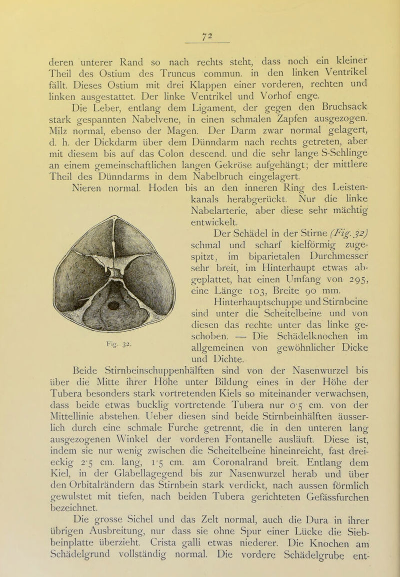 deren unterer Rand so nach rechts steht, dass noch ein kleiner Theil des Ostium des Truncus commun. in den linken Ventrikel fällt. Dieses Ostium mit drei Klappen einer vorderen, rechten und linken ausgestattet. Der linke Ventrikel und Vorhof enge. Die Leber, entlang dem Ligament, der gegen den Bruchsack stark gespannten Nabelvene, in einen schmalen Zapfen ausgezogen. Milz normal, ebenso der Magen. Der Darm zwar normal gelagert, d. h. der Dickdarm über dem Dünndarm nach rechts getreten, aber mit diesem bis auf das Colon descend. und die sehr lange S-Schlinge an einem gemeinschaftlichen langen Gekröse aufgehängt; der mittlere Theil des Dünndarms in dem Nabelbruch eingelagert. o o Nieren normal. Hoden bis an den inneren Ring des Leisten- kanals herabgerückt. Nur die linke o Nabelarterie, aber diese sehr mächtig entwickelt. Der Schädel in der Stirne (Fig.32) schmal und scharf kielförmig zuge- spitzt, im biparietalen Durchmesser sehr breit, im Hinterhaupt etwas ab- geplattet, hat einen Umfang von 295, eine Länge 103, Breite 90 mm. Hinterhauptschuppe und Stirnbeine sind unter die Scheitelbeine und von diesen das rechte unter das linke ge- schoben. — Die Schädelknochen im allgemeinen von gewöhnlicher Dicke und Dichte. Beide Stirnbeinschuppenhälften sind von der Nasenwurzel bis über die Mitte ihrer Höhe unter Bildung eines in der Höhe der Tubera besonders stark vortretenden Kiels so miteinander verwachsen, dass beide etwas bucklig vortretende Tubera nur o-5 cm. von der Mittellinie abstehen. Ueber diesen sind beide Stirnbeinhälften äusser- lich durch eine schmale Furche getrennt, die in den unteren lang ausgezogenen Winkel der vorderen Fontanelle ausläuft. Diese ist, indem sie nur wenig zwischen die Scheitelbeine hineinreicht, fast drei- eckig 2 5 cm. lang, 1-5 cm. am Coronalrand breit. Entlang dem Kiel, in der Glabellagegend bis zur Nasenwurzel herab und über den Orbital rändern das Stirnbein stark verdickt, nach aussen förmlich gewulstet mit tiefen, nach beiden Tubera gerichteten Gefässfurchen bezeichnet. Die grosse Sichel und das Zelt normal, auch die Dura in ihrer übrigen Ausbreitung, nur dass sie ohne Spur einer Lücke die Sieb- beinplatte überzieht. Crista galli etwas niederer. Die Knochen am Schädelgrund vollständig normal. Die vordere Schädelgrube ent-