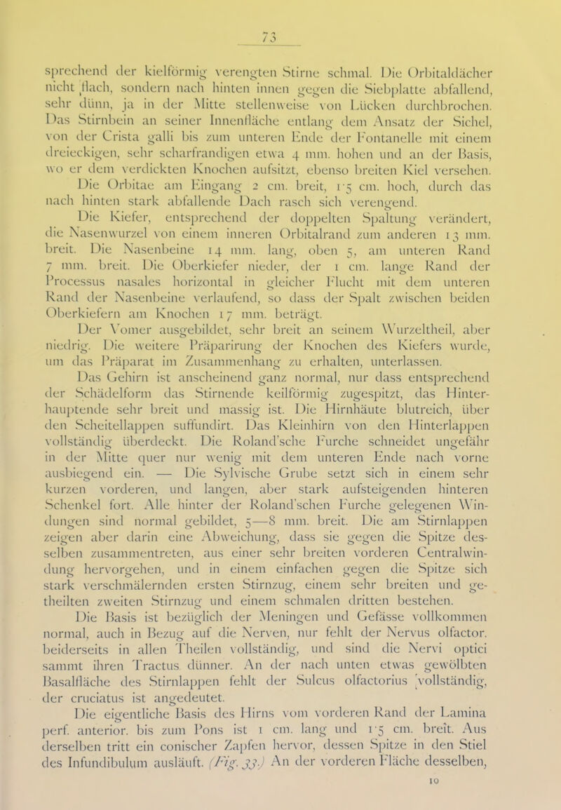 sprechend der kieltörmig verengten Stirne schmal. Die Orbitaldächer nicht (tlach, sondern nach hinten innen gegen die Siebplatte abfallend, sehr dünn, ja in der Mitte stellenweise von Lücken durchbrochen. Das Stirnbein an seiner Innenfläche entlang1 dem Ansatz der Sichel, von der Crista galli bis zum unteren Ende der Fontanelle mit einem dreieckigen, sehr scharfrandigen etwa 4 mm. hohen und an der Basis, wo er dem verdickten Knochen aufsitzt, ebenso breiten Kiel versehen. Die Orbitae am Eingang 2 cm. breit, 15 cm. hoch, durch das nach hinten stark abfallende Dach rasch sich verengend. Die Kiefer, entsprechend der doppelten Spaltung verändert, die Nasenwurzel von einem inneren Orbitalrand zum anderen 13 mm. breit. Die Nasenbeine 14 mm. lang, oben 5, am unteren Rand 7 mm. breit. Die Oberkiefer nieder, der 1 cm. lange Rand der Processus nasales horizontal in gleicher Flucht mit dem unteren Rand der Nasenbeine verlaufend, so dass der Spalt zwischen beiden Oberkiefern am Knochen 17 mm. beträgt. Der Yomer ausgebildet, sehr breit an seinem Wurzeltheil, aber niedrig. Die weitere Präparirung der Knochen des Kiefers wurde, um das Präparat im Zusammenhang zu erhalten, unterlassen. Das Gehirn ist anscheinend ganz normal, nur dass entsprechend der Schädelform das Stirnende keilförmig zugespitzt, das Hinter- hauptende sehr breit und massig ist. Die Hirnhäute blutreich, über den Scheitellappen suffundirt. Das Kleinhirn von den Hinterlappen vollständig überdeckt. Die Roland'sche Furche schneidet ungefähr in der Mitte quer nur wenig mit dem unteren Ende nach vorne ausbiegend ein. — Die Sylvische Grube setzt sich in einem sehr kurzen vorderen, und langen, aber stark aufsteigenden hinteren Schenkel fort. Alle hinter der Roland’schen Furche gelegenen Win- düngen sind normal gebildet, 5—8 mm. breit. Die am Stirnlappen zeigen aber darin eine Abweichung, dass sie gegen die Spitze des- selben zusammentreten, aus einer sehr breiten vorderen Central Win- dung hervorgehen, und in einem einfachen gegen die Spitze sich stark verschmälernden ersten Stirnzug, einem sehr breiten und ge- theilten zweiten Stirnzug und einem schmalen dritten bestehen. Die Basis ist bezüglich der Meningen und Gefässe vollkommen normal, auch in Bezug auf die Nerven, nur fehlt der Nervus olfactor. beiderseits in allen Theilen vollständig, und sind die Nervi optici samint ihren Tractus dünner. An der nach unten etwas gewölbten Basalfläche des Stirnlappen fehlt der Sulcus olfactorius Vollständig, der cruciatus ist angedeutet. Die eigentliche Basis des Hirns vom vorderen Rand der Lamina o bis zum Pons ist 1 cm. lang und 13 cm. breit. Aus perf. anterior, bis zum Tons ist 1 derselben tritt ein conischer Zapfen hervor, dessen Spitze in den Stiel des Infundibulum ausläuft. (Fig, jj) An der vorderen Fläche desselben, 10