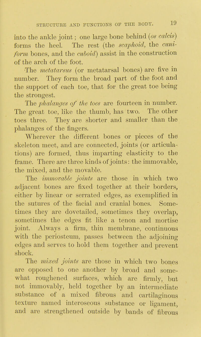 into the ankle joint; one large bone behind (os ccdcis) forms the heel. The rest (the scaphoid, the cuni- form bones, and the cuboid) assist in the construction of the arch of the foot. ■The metatarsus (or metatarsal bones) are five in number. They form the broad part of the foot and the support of each toe, that for the great toe being the strongest. The phalanges of the toes are fourteen in number. The great toe, like the thumb, has two. The other toes three. They are shorter and smaller than the phalanges of the fingers. Wherever the different bones or pieces of the skeleton meet, and are connected, joints (or articula- tions) are formed, thus imparting elasticity to the frame. There are three kinds of joints: the immovable, the mixed, and the movable. The immovable joints are those in which two adjacent bones are fixed together at their borders, either by linear or serrated edges, as exemplified in the sutures of the facial and cranial bones. Some- times they are dovetailed, sometimes they overlap, sometimes the edges fit like a tenon and mortise joint. Always a firm, thin membrane, continuous with the periosteum, passes between the adjoining edges and serves to hold them together and prevent shock. The mixed joints are those in which two bones are opposed to one another by broad and some- what roughened surfaces, which are firmly, but not immovably, held together by an intermediate substance of a mixed fibrous and cartilairinous texture named interoseous substance or ligament, and are strengthened outside by bands of fibrous