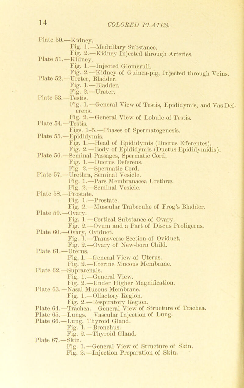 Plate 50.—Kidney. Pig- 1.—IMedullary Substance. Fig. 2.—Kidney Injected thron<>h Arteries. Plate 51.—Kidney. Fig. 1.—Injected Glomeruli. Fig. 2.—Kidney of Guinea-pig, Injected through Veins. Plate 52.—Ureter, Bladder. Fig. 1.—Bladder. Fig. 2.—Ureter. Plate 53.—Testis. Fig. 1.—General View of Testis, Epididymis, .andVas Def- erens. Fig. 2.—General View of Lobule of Testis. Plato 5-1.—Testis. I'^igs. 1-5.—Pba.ses of Spermatogenesis. Plato 55.—Epididymis. Fig. 1.—Head of Epididymis (Ductus I'lfferentes). Fig. 2.—Body of Ei)ididymis (Ductus Eijididymidis). Plate 5().—Seminal Pa.s.sages, Spermatic Cord. I'bg. 1.—Ductus Deferens. J‘'ig. 2.—Spci’inatic Cord. Plate 57.—Urethra, Seminal Vesicle. Fig. 1.—Pars Membranacea Uretliraj. I’ig. 2.—Seminal Vesicle. Plate 5H.—J'rostjite. • Fig. 1.—Prostate. Fig. 2.—Muscular Trabcculic of Frog’s Bladder. Plate 5!).—Ovary. Fig. 1.—Corti(!al Substance of Ovary. Fig. 2.—Ovum and a Part of Discus Proligerus. Plate (10.—Ovary, Oviduct. Fig. 1.—Transverse Section of Oviduct. Fig. 2.—Ovary of New-born Child. Plate Gl.—Uteru.s. Fig. 1.—General View of Uterus. Fig. 2.—Uterine Mucous Membrane. Plate 62.—Suprarenals. Fig. 1.—General View. Fig. 2.—Under Higher IMagnification. Plate 63.—Na.sal Mucous Membrane. Fig. 1.—Olfcictory Kegion. Fig. 2.—Kespiratoiy Region. Plate 64.—Trachea. General View of Structtire of Trachea. Plate 65.—Lungs. Vascular Injection of Lung. Plate 66.—Lung, Thyroid Gland. Fig. 1.—Bronchus. Fig. 2.—Thyroid Gland. Plate 67.—Skin. Fig. 1.—General View of Structure of Skin. Fig. 2.—Injection Preparation of Skill.