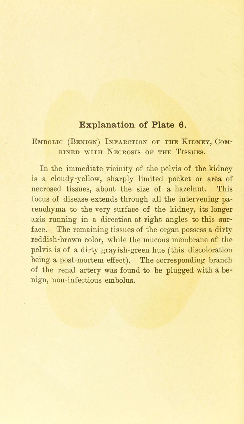 Embolic (Benign) Infarction of the Kidney, Com- bined with Necrosis of the Tissues. In the immediate vicinity of the pelvis of the kidney is a cloudy-yellow, sharply limited pocket or area of necrosed tissues, about the size of a hazelnut. This focus of disease extends through all the intervening pa- renchyma to the very surface of the kidney, its longer axis running in a direction at right angles to this sur- face. The remaining tissues of the organ possess a dirty reddish-brown color, while the mucous membrane of the pelvis is of a dirty grayish-green hue (this discoloration being a post-mortem effect). The corresponding branch of the renal artery was found to be plugged with a be- nign, non-infectious embolus.