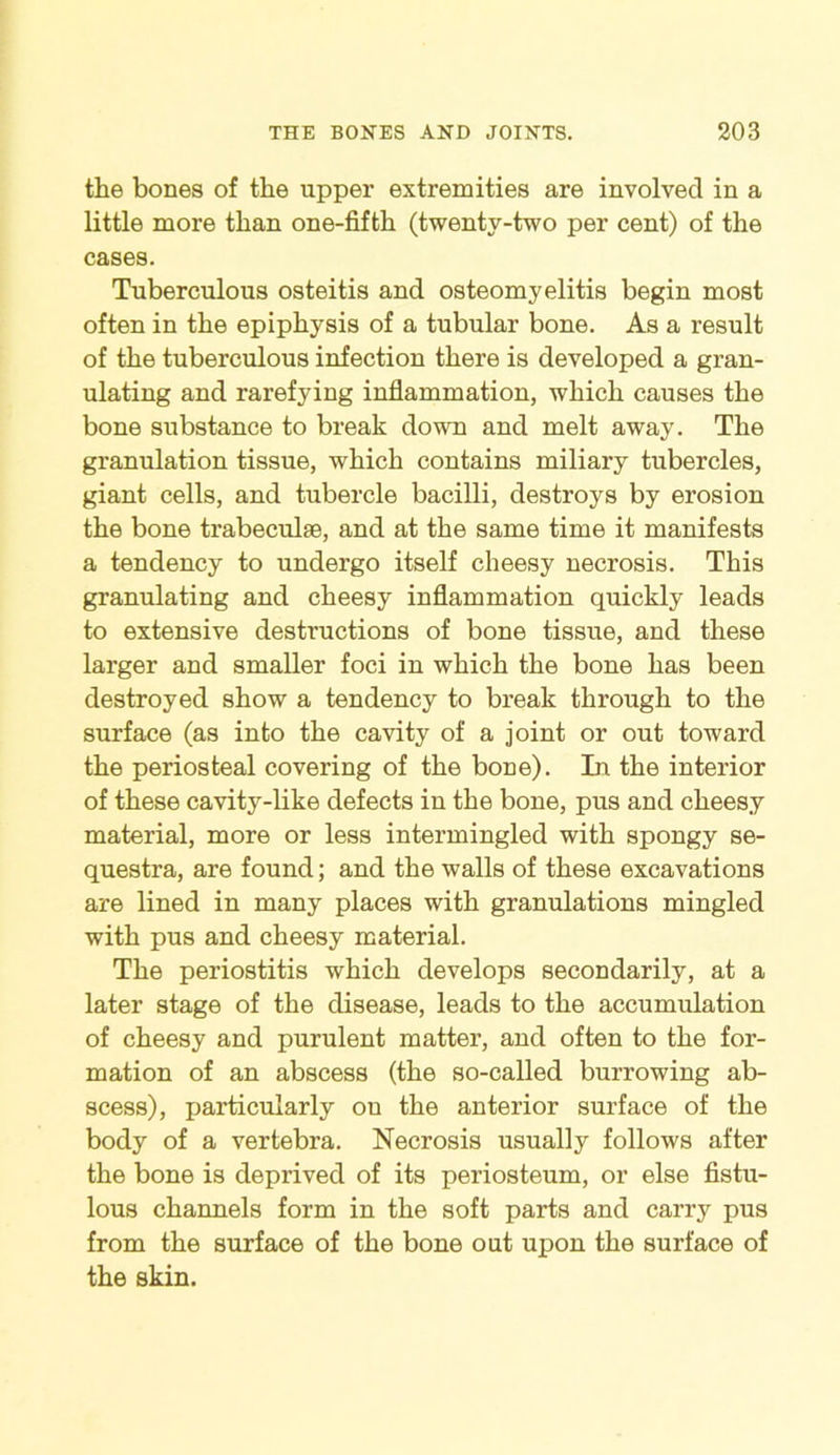 the bones of the upper extremities are involved in a little more than one-fifth (twenty-two per cent) of the cases. Tuberculous osteitis and osteomyelitis begin most often in the epiphysis of a tubular bone. As a result of the tuberculous infection there is developed a gran- ulating and rarefying inflammation, which causes the bone substance to break down and melt away. The granulation tissue, which contains miliary tubercles, giant cells, and tubercle bacilli, destroys by erosion the bone trabeculae, and at the same time it manifests a tendency to undergo itself cheesy necrosis. This granulating and cheesy inflammation quickly leads to extensive destructions of bone tissue, and these larger and smaller foci in which the bone has been destroyed show a tendency to break through to the surface (as into the cavity of a joint or out toward the periosteal covering of the bone). In the interior of these cavity-like defects in the bone, pus and cheesy material, more or less intermingled with spongy se- questra, are found; and the walls of these excavations are lined in many places with granulations mingled with pus and cheesy material. The periostitis which develops secondarily, at a later stage of the disease, leads to the accumulation of cheesy and purulent matter, and often to the for- mation of an abscess (the so-called burrowing ab- scess), particularly on the anterior surface of the body of a vertebra. Necrosis usually follows after the bone is deprived of its periosteum, or else fistu- lous channels form in the soft parts and carry pus from the surface of the bone out upon the surface of the skin.