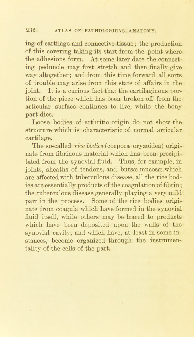 ing of cartilage and connective tissue; the production of this covering taking its start from the point where the adhesions form. At some later date the connect- ing peduncle may first stretch and then finally give way altogether; and from this time forward all sorts of trouble may arise from this state of affairs in the joint. It is a curious fact that the cartilaginous por- tion of the piece which has been broken off from the articular surface continues to live, while the bony part dies. Loose bodies of arthritic origin do not show the structure which is characteristic of normal articular cartilage. The so-called rice bodies (corpora oryzoidea) origi- nate from fibrinous material which has been precipi- tated from the synovial fluid. Thus, for example, in joints, sheaths of tendons, and bursae mucosae which are affected with tuberculous disease, all the rice bod- ies are essentially products of the coagulation of fibrin; the tuberculous disease generally playing a very mild part in the process. Some of the rice bodies origi- nate from coagula which have formed in the synovial fluid itself, while others may be traced to products which have been deposited upon the walls of the synovial cavity, and which have, at least in some in- stances, become organized through the instrumen- tality of the cells of the part.