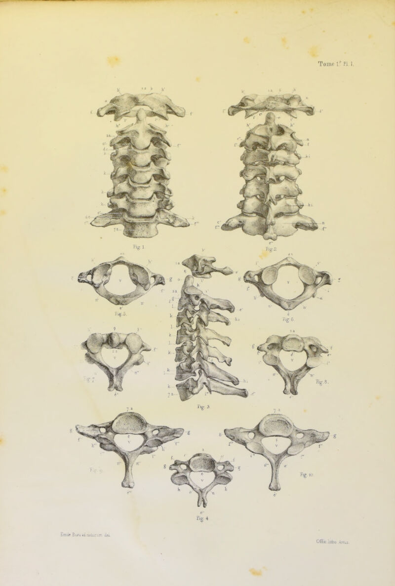 Tome lr Pi 1. Offic.ntho Artus