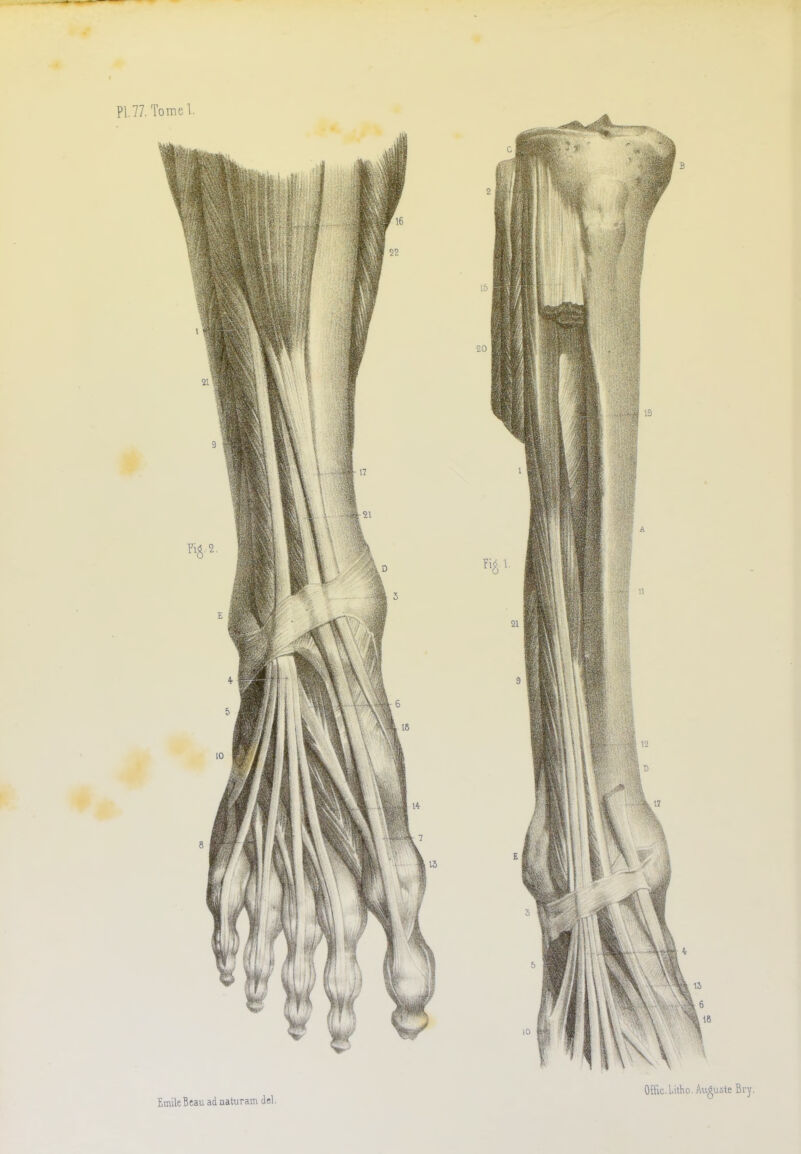 Offic.Litho. Auguste Bry
