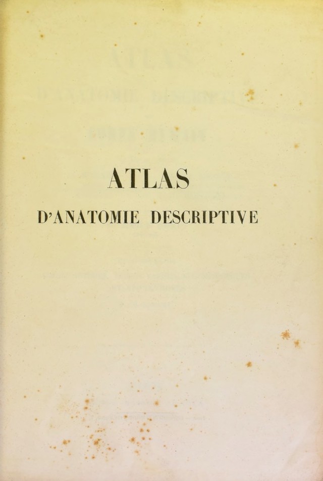 digitised image 3