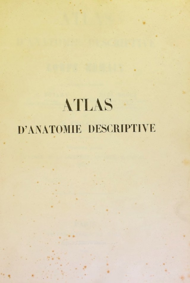 digitised image 3