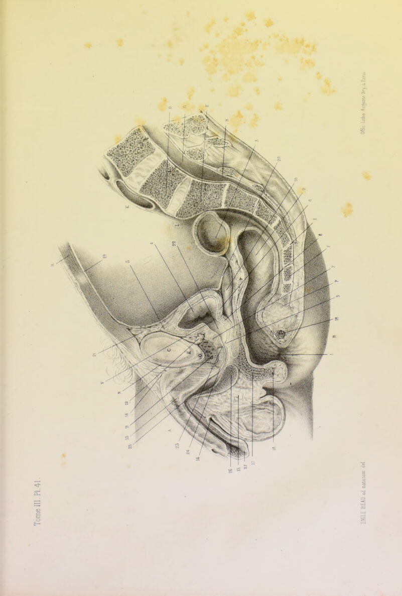 Tome 111. PI.41. EMILE BEAU adnaUirarr. del. Oflïc l.itho. Auguste Bry,à Pans