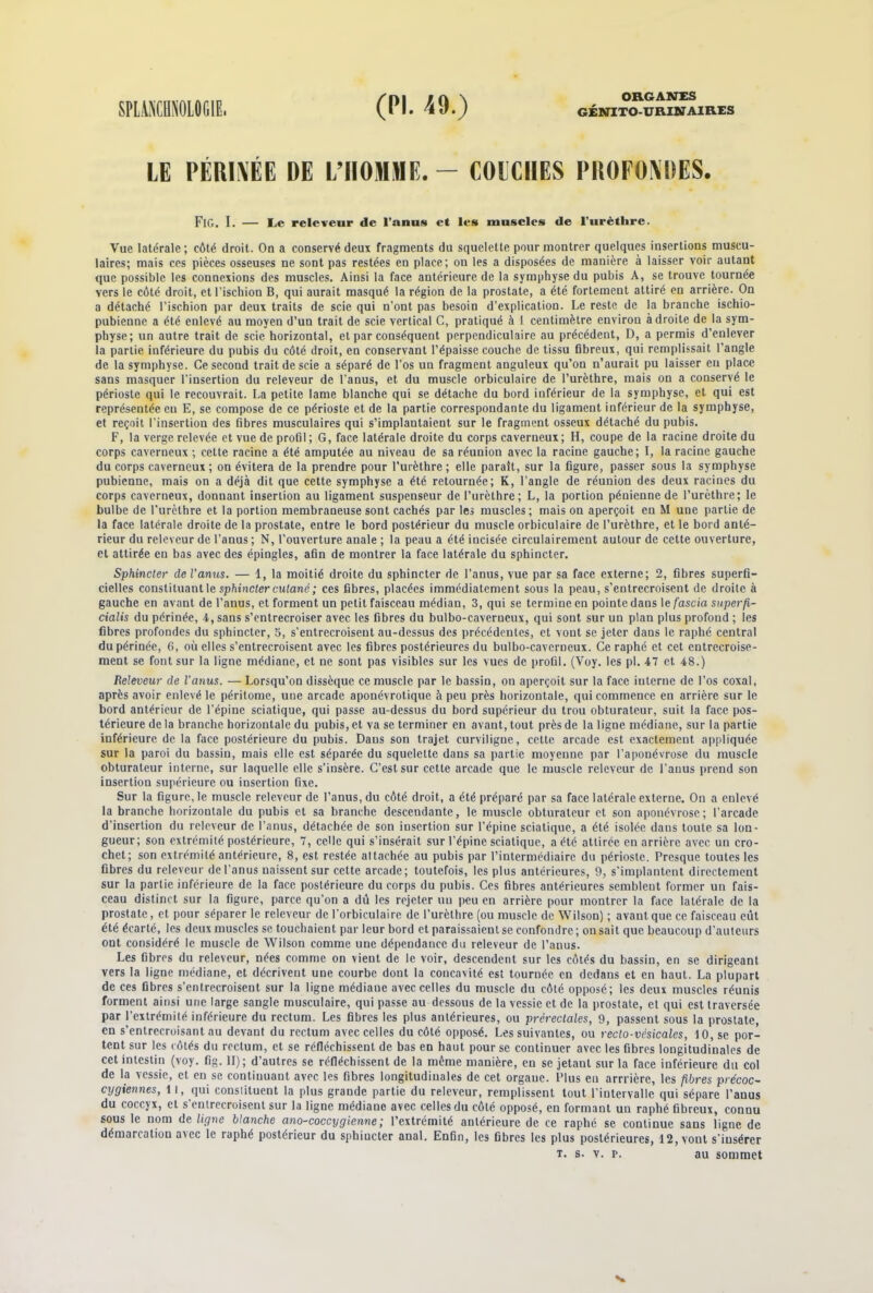 SPLMKMOLOGIE. (PI. 49.) ORGANES GÉNITO-URINAIRES LE PÉRIMÉE DE L’HOMME. - COliCIIES PROFONDES. FlG. I. — Le releveur de l’anus et les muscles de l’urèthre. Vue latérale ; côté droit. On a conservé deux fragments du squelette pour montrer quelques insertions muscu- laires; mais ces pièces osseuses ne sont pas restées en place; ou les a disposées de manière à laisser voir autant que possible les connexions des muscles. Ainsi la face antérieure de la symphyse du pubis A, se trouve tournée vers le côté droit, et l’ischion B, qui aurait masqué la région de. la prostate, a été fortement attiré en arrière. On a détaché l’ischion par deux traits de scie qui n’ont pas besoin d’explication. Le reste de la branche ischio- pubienne a été enlevé au moyen d’un trait de scie vertical C, pratiqué à 1 centimètre environ adroite de la sym- physe; un autre trait de scie horizontal, et par conséquent perpendiculaire au précédent, D, a permis d’enlever la partie inférieure du pubis du côté droit, en conservant l’épaisse couche de tissu fibreux, qui remplissait l’angle de la symphyse. Ce second trait de scie a séparé de l’os un fragment anguleux qu’on n’aurait pu laisser eu place sans masquer l’insertion du releveur de l’anus, et du muscle orbiculaire de l’urèthre, mais on a conservé le périoste qui le recouvrait. La petite lame blanche qui se détache du bord inférieur de la symphyse, et qui est représentée eu E, se compose de ce périoste et de la partie correspondante du ligament inférieur de la symphyse, et reçoit l’insertion des fibres musculaires qui s’implantaient sur le fragment osseux détaché du pubis. F, la verge relevée et vue de proGI ; G, face latérale droite du corps caverneux ; H, coupe de la racine droite du corps caverneux ; cette racine a été amputée au niveau de sa réunion avec la racine gauche; I, la racine gauche du corps caverneux ; on évitera de la prendre pour l’urèthre ; elle paraît, sur la figure, passer sous la symphyse pubienne, mais on a déjà dit que cette symphyse a été retournée; K, l’angle de réunion des deux racines du corps caverneux, donnant insertion au ligament suspenseur de l’urèthre; L, la portion pénienne de l’urèthre; le bulbe de l'urèthre et la portion membraneuse sont cachés par les muscles; mais on aperçoit en M une partie de la face latérale droite de la prostate, entre le bord postérieur du muscle orbiculaire de l’urèthre, et le bord anté- rieur du releveur de l’anus; N, l’ouverture anale ; la peau a été incisée circulairemeut autour de cette ouverture, et attirée en bas avec des épingles, afin de montrer la face latérale du sphincter. Sphincter de l'anus. — 1, la moitié droite du sphincter de l’anus, vue par sa face externe; 2, fibres superfi- cielles constituant le sphincter cutané; ces fibres, placées immédiatement sous la peau, s’entrecroisent de droite à gauche en avant de l’anus, et forment un petit faisceau médian, 3, qui se termine en pointe dans le fascia super(i- cialis du périnée, 4, sans s’entrecroiser avec les fibres du bulbo-caverucux, qui sont sur un plan plus profond ; les fibres profondes du sphincter, 5, s’entrecroisent au-dessus des précédentes, et vont se jeter dans le raphé central du périnée, 6, où elles s’entrecroisent avec les fibres postérieures du bulbo-caverneux. Ce raphé et cet entrecroise- ment se font sur la ligne médiane, et ne sont pas visibles sur les vues de profil. (Voy. les pl. 47 et 48.) Releveur de l’anus. — Lorsqu’on dissèque ce muscle par le bassin, on aperçoit sur la face interne de l’os coxal, après avoir enlevé le péritome, une arcade aponévrotique à peu près horizontale, qui commence en arrière sur le bord antérieur de l’épine sciatique, qui passe au-dessus du bord supérieur du trou obturateur, suit la face pos- térieure de la branche horizontale du pubis, et va se terminer en avant, tout près de la ligne médiane, sur la partie inférieure de la face postérieure du pubis. Dans son trajet curviligne, cette arcade est exactement appliquée sur la paroi du bassin, mais elle est séparée du squelette dans sa partie moyenne par l’aponévrose du muscle obturateur interne, sur laquelle elle s’insère. C’est sur cette arcade que le muscle releveur de l’auus prend son insertion supérieure ou insertion fixe. Sur la figure, le muscle releveur de l’anus, du côté droit, a été préparé par sa face latérale externe. On a enlevé la branche horizontale du pubis et sa branche descendante, le muscle obturateur et son aponévrose; l’arcade d’insertion du releveur de l’anus, détachée de son insertion sur l’épine sciatique, a été isolée dans toute sa lon- gueur; son extrémité postérieure, 7, celle qui s’insérait sur l’épine sciatique, a été attirée en arrière avec un cro- chet; son extrémité antérieure, 8, est restée attachée au pubis par l’intermédiaire du périoste. Presque toutes les fibres du releveur de l’anus naissent sur cette arcade; toutefois, les plus antérieures, 9, s'implantent directement sur la partie inférieure de la face postérieure du corps du pubis. Ces fibres antérieures semblent former un fais- ceau distinct sur la figure, parce qu’on a dû les rejeter un peu en arrière pour montrer la face latérale de la prostate, et pour séparer le releveur de l’orbiculaire de l’urèthre (ou muscle de Wilson) ; avant que ce faisceau eût été écarté, les deux muscles se touchaient par leur bord et paraissaient se confondre ; on sait que beaucoup d'auteurs ont considéré le muscle de Wilson comme une dépendance du releveur de l’anus. Les fibres du releveur, nées comme on vient de le voir, descendent sur les côtés du bassin, en se dirigeant vers la ligne médiane, et décrivent une courbe dont la concavité est tournée en dedans et en haut. La plupart de ces fibres s’entrecroisent sur la ligne médiaue avec celles du muscle du côté opposé; les deux muscles réunis forment ainsi une large sangle musculaire, qui passe au dessous de la vessie et de la prostate, et qui est traversée par l’extrémité inférieure du rectum. Les fibres les plus antérieures, ou prêrectales, 9, passent sous la prostate, en s’entrecroisant au devant du rectum avec celles du côté opposé. Les suivantes, ou recto-vésicales, 10, se por- tent sur les côtés du rectum, et se réfléchissent de bas en haut pour se continuer avec les fibres longitudinales de cet intestin (voy. fig. II); d’autres se réfléchissent de la même manière, en se jetant sur la face inférieure du col de la vessie, et en se continuant avec les fibres longitudinales de cet orgaue. Plus en arrrière, les fibres précoc- cygiennes, 11, qui constituent la plus grande partie du releveur, remplissent tout l’intervalle qui sépare l’anus du coccyx, et s’entrecroisent sur la ligne médiaue avec celles du côté opposé, en formant un raphé fibreux, connu sous le nom de ligne blanche ano-coccygienne; l’extrémité antérieure de ce raphé se continue sans ligne de démarcation avec le raphé postérieur du sphincter anal. Enfin, les fibres les plus postérieures, 42, vont s’insérer t. s. v. p. au sommet