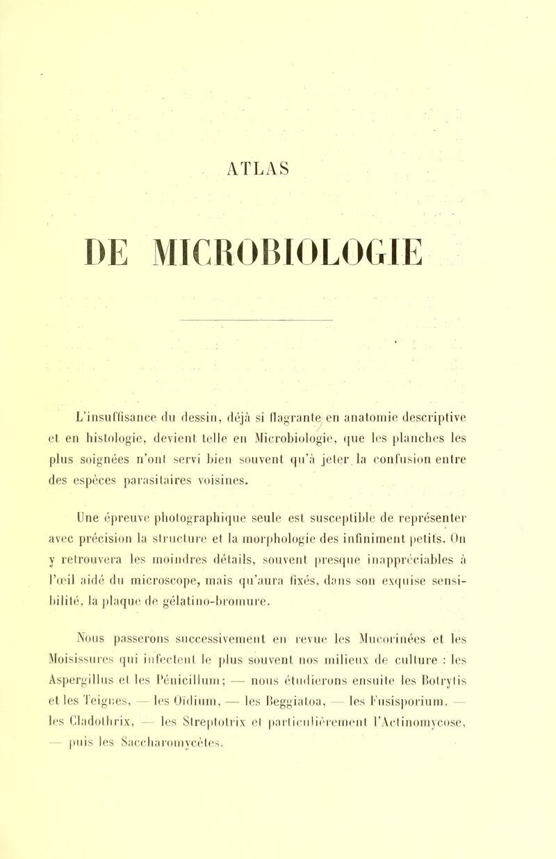 DE MICROBIOLOGIE L’insuffisance du dessin, déjà si flagrante en anatomie descriptive et en histologie, devient telle en Microbiologie, que les jdanches les plus soignées n’ont servi bien souvent qii’à jeter la conl'nsion entre des espèces parasitaires voisines. Une épreuve photographique seule est susceptible de représenter avec précision la structure et la morphologie des infiniment petits. On y retrouvera les moindres détails, souvent presque inappréciables à l’œil aidé du microscope, mais qu’aura fixés, dons son exipiise sensi- bilité, la plaque de gélatino-bromure. Nous passerons successivement en revue les Mucorinées et les Moisissures qui iiifecteiit le jilus souvent nos milieux de culture : les Àspergillus et les Uénicillum; — nous étudierons ensuite les Boirylis et les Teignes, — les Oïdium, — les Heggiatoa, — les lOisisjiorium, — les Cladotlirix, — les Streptotrix et pariiculièrement l’Aclinomycose, - puis les Saccbaromycètes.