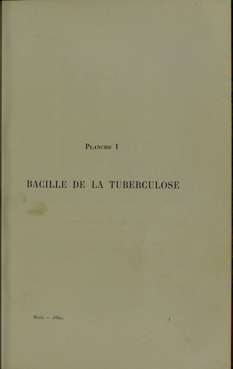 BACILLE DE LA TUBERCULOSE Macé. — Allas. 1