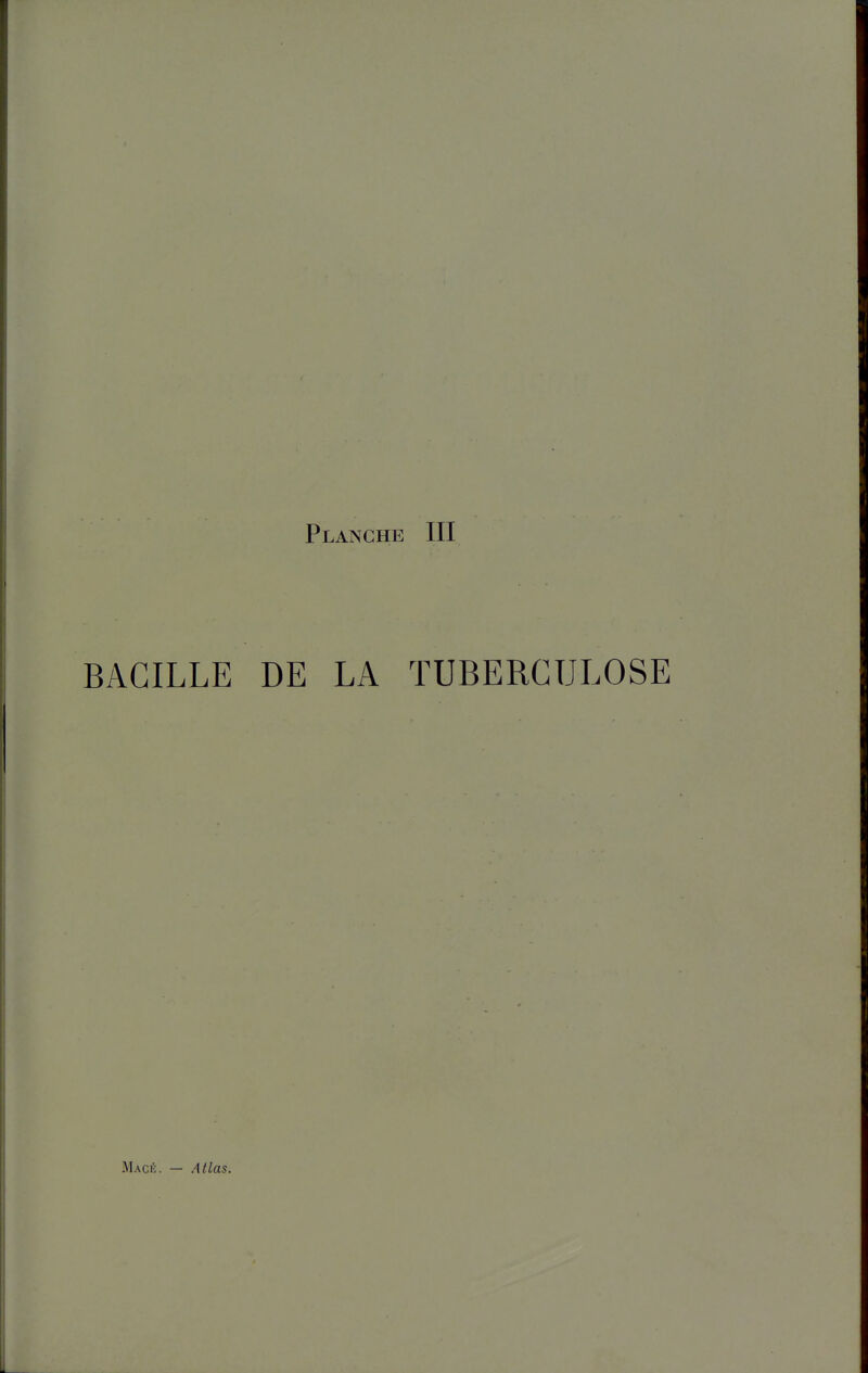 Planche III BACILLE DE LA TUBERCULOSE