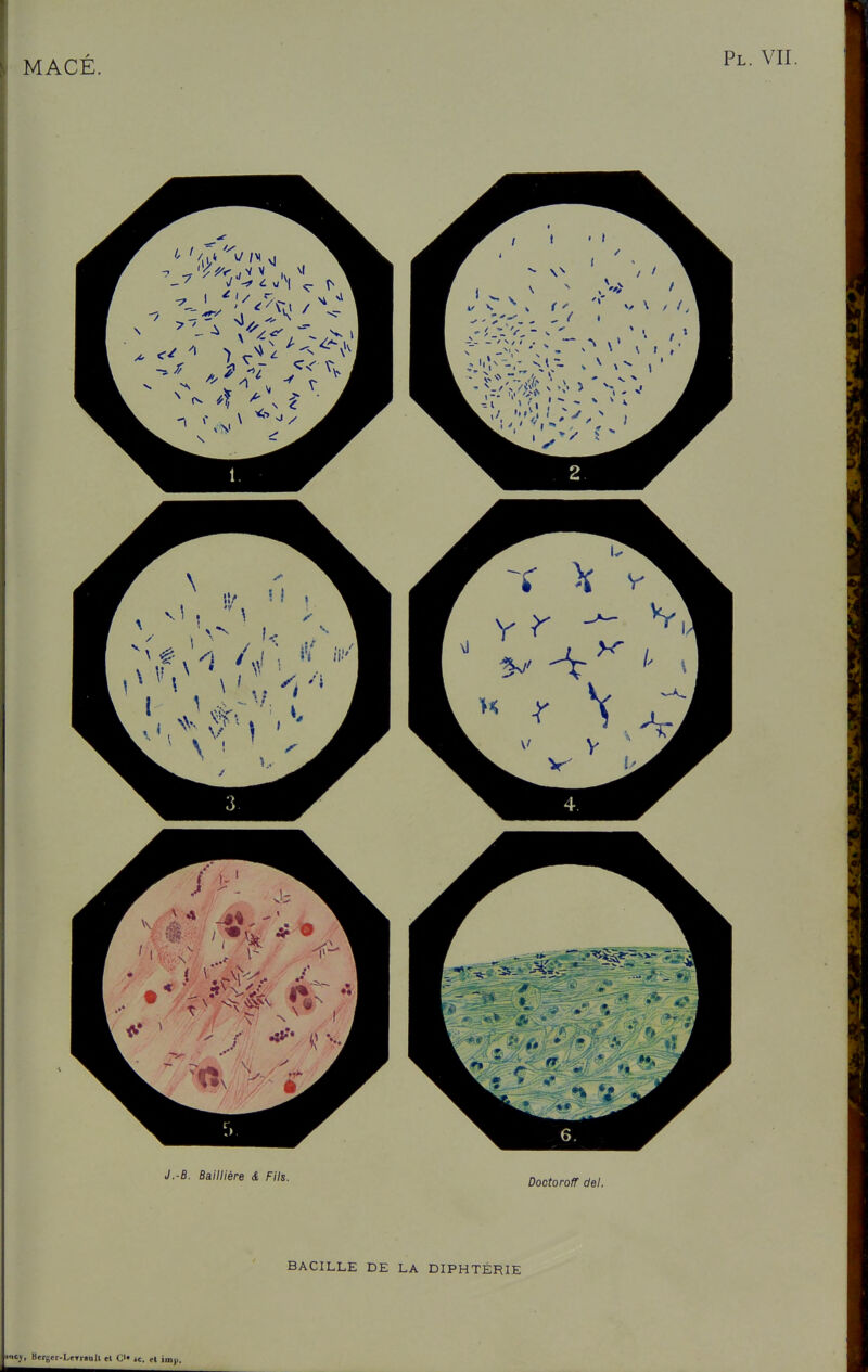 BACILLE DE LA DIPHTÉRIE ■ncj, Bcrger-UTranll cl C'« »e. et imp.