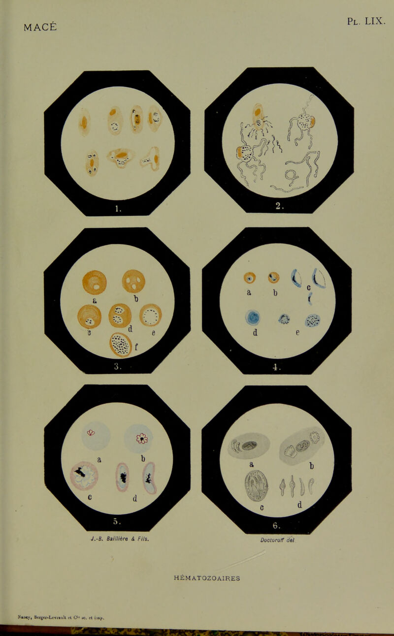 J.-B. Bailliére d Fils. Doocorotf del HÉMATOZOAIRES Nancy, Ikfgcr-LevraiiU cl C «c. cl iiop.