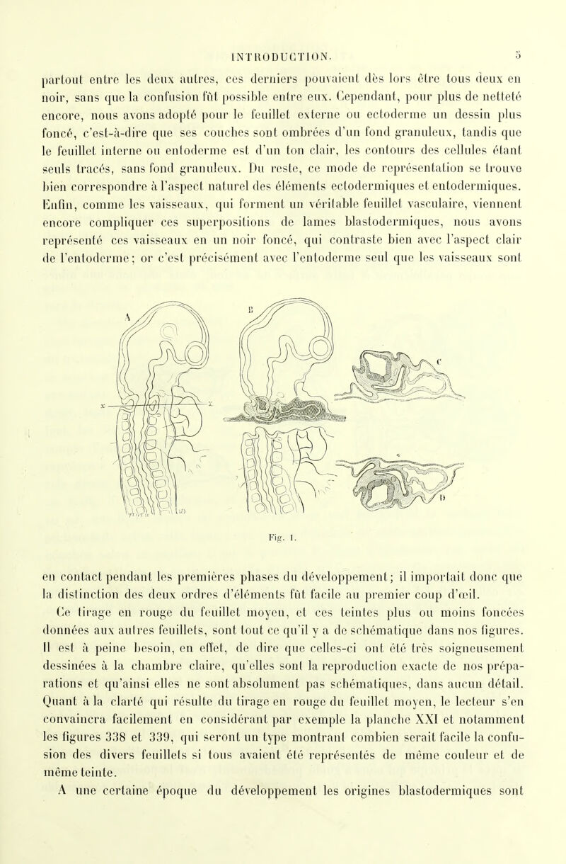 partout entre les deux autres, ces derniers pouvaient dès lors être tous deux en noir, sans que la confusion fût possible entre eux. Cependant, pour plus de netteté encore, nous avons adopté pour le feuillet externe ou ectoderme un dessin plus foncé, c'est-à-dire que ses couches sont ombrées d'un fond granuleux, tandis que le feuillet interne ou enloderme est d'un ton clair, les contours des cellules étant seuls tracés, sans fond granuleux. Du reste, ce mode de représentation se trouve bien correspondre à l'aspect naturel des éléments ectodermiques et entodermiques. Enfin, comme les vaisseaux, qui forment un véritable feuillet vasculaire, viennent encore compliquer ces superpositions de lames blastodermiques, nous avons représenté ces vaisseaux en un noir foncé, qui contraste bien avec l'aspect clair de l'entoderme; or c'est précisément avec l'entodcrme seul que les vaisseaux sont F'g. 1. en contact pendant les premières phases du développement; il importait donc que la distinction des deux ordres d'éléments fût facile au premier coup d'œil. Ce tirage en rouge du feuillet moyen, et ces teintes plus ou moins foncées données aux autres feuillets, sont tout ce qu'il y a de schématique dans nos figures. Il est à peine besoin, en effet, de dire que celles-ci ont été très soigneusement dessinées à la chambre claire, qu'elles sont la reproduclion exacte de nos prépa- rations et qu'ainsi elles ne sont absolument pas schématiques, dans aucun détail. Quant à la clarté qui résulte du tirage en rouge du feuillet moyen, le lecteur s'en convaincra facilement en considérant par exemple la planche XXI et notamment les figures 338 et 339, qui seront un type montrant combien serait facile la confu- sion des divers feuillets si tous avaient été représentés de même couleur et de même teinte. A une certaine époque du développement les origines blastodermiques sont