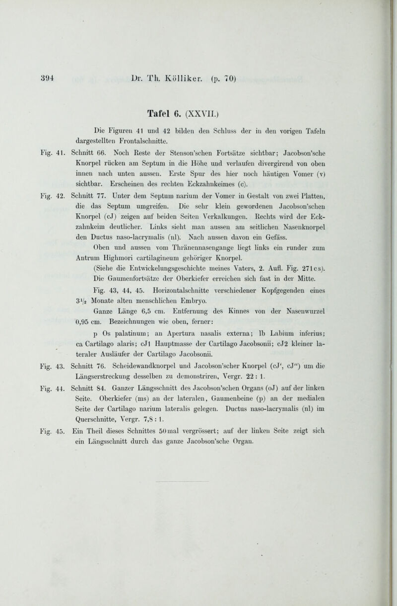 Tafel 6. (XXVII.) Die Figuren 41 und 42 bilden den Schluss der in den vorigen Tafeln dargestellten Frontalschnitte. Fig. 41. Schnitt 66. Noch Reste der Stenson’schen Fortsätze sichtbar; Jacobson’sche Knorpel rücken am Septum in die Höhe und verlaufen divergirend von oben innen nach unten aussen. Erste Spiu- des liier noch häutigen Vomer (v) sichtbar. Erscheinen des i’echten Eckzahnkeimes (c). Fig. 42. Schnitt 77. Unter dem Septum narium der Vomer in Gestalt von zwei Platten, die das Septum umgreifen. Die sehr klem gewordenen Jacobson’schen Knorpel (cJ) zeigen auf beiden Seiten Verkalkungen. Rechts wird der Eck- zahnkeim deutlicher. Links sieht man aussen am seitlichen Nasenknorpel den Ductus naso-lacrymalis (nl). Nach aussen davon ein Gefäss. Oben und aussen vom Thränennasengange liegt links ein runder zum Antrum Highmori cartilagineum gehöriger Knorpel. (Siehe die Entwickelungsgeschichte meines Vaters, 2. Aufl. Fig. 271 cs). Die Gaumenfortsätze der Oberkiefer erreichen sich fast in dei' Mitte. Fig. 43, 44, 45. Horizontalschnitte verschiedener Kopfgegenden eines 3^/2 Monate alten menschlichen Embryo. Ganze Länge 6,5 cm. Entfernung des Kinnes von der Nasenwurzel 0,95 cm. Bezeichnungen wie oben, ferner: p Os palatinum; an Apertura nasalis externa; Ib Labium inferius; ca Cartilago alaris; cJl Hauptmasse der Cartilago Jacobsonii; cJ2 kleiner la- teraler Ausläufer der Cartilago Jacobsonii. Fig. 43. Schnitt 76. Scheidewandknorpel und Jacobson’scher Knorpel (cJ', cj) um die Längserstreckung desselben zu demonstriren, Vergr. 22: 1. Fig. 44. Schnitt 84. Ganzer Längsschnitt des Jacobson’schen Organs (oJ) auf der linken Seite. Oberkiefer (ms) an der lateralen, Gaumenbeine (p) an der medialen Seite der Cartilago narium lateralis gelegen. Ductus naso-lacrymalis (nl) im Querschnitte, Vergr. 7,8:1. Fig. 45, Ein Theil dieses Schnittes 50 mal vergrössert; auf der linken Seite zeigt sich ein Längsschnitt durch das ganze Jacobson’sche Oi’gau.