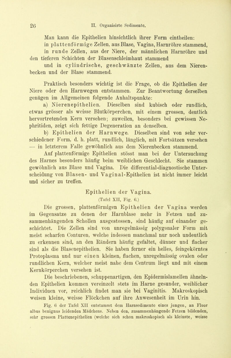 Man kann die Epithelien hinsichtlich ihrer Form eintheilen: in plattenförmige Zellen, aus Blase, Vagina, Harnröhre stammend, in runde Zellen, aus der Niere, der männlichen Harnröhre und den tieferen Schichten der Blasenschleimhaut stammend und in cylindrische, geschwänzte Zellen, aus dem Nieren- becken und der Blase stammend. Praktisch besonders wichtig ist die Frage, ob die Epithelien der Niere oder den Harnwegen entstammen. Zur Beantwortung derselben genügen im Allgemeinen folgende Anhaltspunkte: a) Nieren epithelien. Dieselben sind kubisch oder rundlich, etwas grösser als weisse Blutkörperchen, mit einem grossen, deutlich hervortretenden Kern versehen; zuweilen, besonders bei gewissen Ne- phritiden, zeigt sich fettige Degeneration an denselben. b) Epithelien der Harnwege. Dieselben sind von sehr ver- schiedener Form, d. h. platt, rundlich, länglich, mit Fortsätzen versehen — in letzterem Falle gewöhnlich aus dem Nierenbecken stammend. Auf plattenförmige Epithelien stösst man bei der Untersuchung des Harnes besonders häufig beim weiblichen Geschlecht. Sie stammen gewöhnlich aus Blase und Vagina. Die differential-diagnostische Unter- scheidung von Blasen- und Vaginal-Epithelien ist nicht immer leicht und sicher zu treffen. Epithelien der Vagina. (Tafel XII, Fig. 6.) Die grossen, plattenförmigen Epithelien der Vagina werden im Gegensätze zu denen der Harnblase mehr in Fetzen und zu- sammenhängenden Schollen ausgestossen, sind häufig auf einander ge- schichtet. Die Zellen sind von unregelmässig polygonaler Form mit meist scharfen Conturen, welche indessen manchmal nur noch undeutlich zu erkennen sind, an den Rändern häufig gefaltet, dünner und flacher sind als die Blasenepithelien. Sie haben ferner ein helles, feingekörntes Protoplasma und nur einen kleinen, flachen, unregelmässig ovalen oder rundlichen Kern, welcher meist nahe dem Centrum liegt und mit einem Kernkörperchen versehen ist. Die beschriebenen, schuppenartigen, den Epidermislamellen ähneln- den Epithelien kommen vereinzelt stets im Harne gesunder, weiblicher Individuen vor, reichlich findet man sie bei Vaginitis. Makroskopisch weisen kleine, weisse Flöckchen auf ihre Anwesenheit im Urin hin. Fig. 6 der Tafel XII entstammt dem Harnsedimente eines jungen, an Fluor albus benignus leidenden Mädchens. Neben den, zusammenhängende Fetzen bildenden, sehr grossen Plattenepithelien (welche sich schon makroskopisch als kleinste, weisse