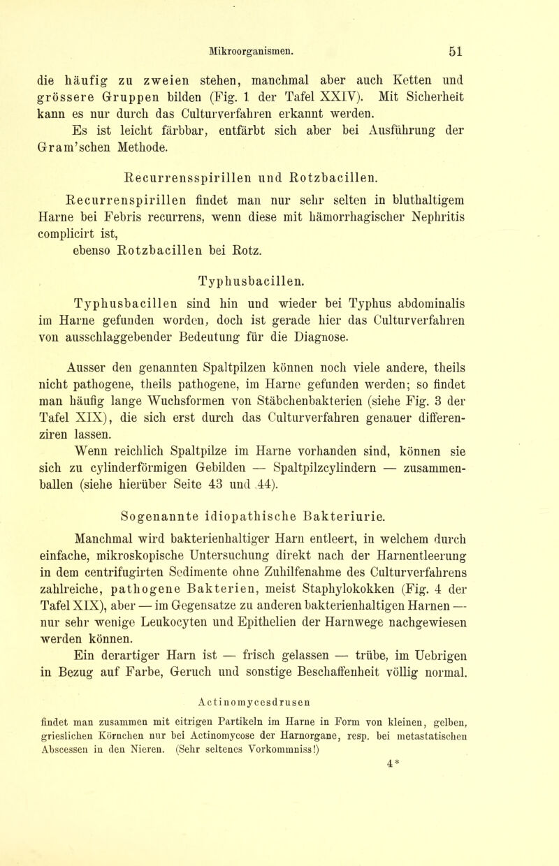 die häufig zu zweien stehen, manchmal aber auch Ketten und grössere Gruppen bilden (Fig. 1 der Tafel XXIV). Mit Sicherheit kann es nur durch das Culturverfahren erkannt werden. Es ist leicht färbbar, entfärbt sich aber bei Ausführung der Gr am’sehen Methode. Recurrensspirillen und Rotzbacillen. Recurrenspirillen findet man nur sehr selten in bluthaltigem Harne bei Febris recurrens, wenn diese mit hämorrhagischer Nephritis complicirt ist, ebenso Rotzbacillen bei Rotz. Typhusbacillen. Typhusbacillen sind hin und wieder bei Typhus abdominalis im Harne gefunden worden, doch ist gerade hier das Culturverfahren von ausschlaggebender Bedeutung für die Diagnose. Ausser den genannten Spaltpilzen können noch viele andere, theils nicht pathogene, theils pathogene, im Harne gefunden werden; so findet man häufig lange Wuchsformen von Stäbchenbakterien (siehe Fig. 3 der Tafel XIX), die sich erst durch das Culturverfahren genauer differen- ziren lassen. Wenn reichlich Spaltpilze im Harne vorhanden sind, können sie sich zu cylinderförmigen Gebilden — Spaltpilzcylindern — zusammen- ballen (siehe hierüber Seite 43 und 44). Sogenannte idiopathische Bakteriurie. Manchmal wird bakterienhaltiger Harn entleert, in welchem durch einfache, mikroskopische Untersuchung direkt nach der Harnentleerung in dem centrifugirten Sedimente ohne Zuhilfenahme des Culturverfahrens zahlreiche, pathogene Bakterien, meist Staphylokokken (Fig. 4 der Tafel XIX), aber — im Gegensätze zu anderen bakterienhaltigen Harnen — nur sehr wenige Leukocyten und Epithelien der Harnwege nachgewiesen werden können. Ein derartiger Harn ist — frisch gelassen — trübe, im Uebrigen in Bezug auf Farbe, Geruch und sonstige Beschaffenheit völlig normal. Actinomycesdrusen findet man zusammen mit eitrigen Partikeln im Harne in Form von kleinen, gelben, grieslichen Körnchen nur bei Actinomycose der Harnorgane, resp. bei metastatischen Abscessen in den Nieren. (Sehr seltenes Vorkommniss!) 4*