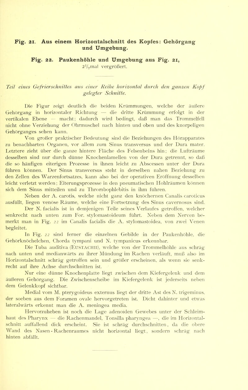 und Umgebung. Fig. 22. Paukenhöhle und Umgebung aus Fig. 21, 2V9mal vergrößert. Teil eitles Gefrierschnittes aus einer Reihe horizontal durch den ganzen Kopf gelegter Schnitte. Die Figur zeigt deutlich die beiden Krümmungen, welche der äußere Gehörgang in horizontaler Richtung — die dritte Krümmung erfolgt in der vertikalen Ebene - macht: dadurch wird bedingt, daß man das Trommelfell nicht ohne Verziehung der Ohrmuschel nach hinten und oben und des knorpeligen Gehörganges sehen kann. Von großer praktischer Bedeutung sind die Beziehungen des Hörapparates zu benachbarten Organen, vor allem zum Sinus transversus und der Dura mater. Letztere zieht über die ganze hintere Fläche des Felsenbeins hin; die Lufträume desselben sind nur durch dünne Knochenlamellen von der Dura getrennt, so daß die so häufigen eiterigen Prozesse in ihnen leicht zu Abscessen unter der Dura führen können. Der Sinus transversus steht in derselben nahen Beziehung zu den Zellen des Warzenfortsatzes, kann also bei der operativen Eröffnung desselben leicht verletzt werden; Eiterungsprozesse in den pneumatischen Hohlräumen können sich dem Sinus mitteilen und zu Thrombophlebitis in ihm führen. Neben der A. carotis, welche nicht ganz den knöchernen Canalis caroticus ausfüllt, liegen venöse Räume, welche eine Eortsetzung des Sinus cavernosus sind. Der N. facialis ist in demjenigen Teile seines Verlaufes getroffen, welcher senkrecht nach unten zum Eor. .stylomastoideum führt. Neben dem Nerven be- merkt man in Eig. 22 im Canalis facialis die A. stylomastoidea, von zwei Arenen begleitet. In Eig. 22 sind ferner die einzelnen Gebilde in der Paukenhöhle, die Gehörknöchelchen, Chorda tympani und N. tympanicus erkennbar. Die Tuba auditiva (Eustachii), welche von der Trommelhöhle aus schräg nach unten und mediamvärts zu ihrer Alündung im Rachen verläuft, muß also im Horizontalschnitt schräg getroffen sein und größer erscheinen, als wenn sie senk- recht auf ihre Achse durchschnitten ist. Nur eine dünne Knochenplatte liegt zwischen dem Kiefergelenk und dem äußeren Gehörg'ang. Die Zwischenscheibe im Kiefergelenk ist jederseits neben dem Gelenkkopf sichtbar. Medial vom M. pterygoideus externus liegt der dritte Ast des N. trigeminus. der soeben aus dem Foramen ovale hervorgetreten ist. Dicht dahinter und etwas lateralwärts erkennt man die A. meningea media. Hervorzuheben ist noch die Lage adenoiden Gewebes unter der Schleim- haut des Pharynx — die Rachenmandel, Tonsilla pharyngea —, die im Horizontal- schnitt auffallend dick erscheint. Sie ist schräg durchschnitten, da die obere Wand des Nasen - Rachenraumes nicht horizontal liegt, sondern schräg nach hinten abfällt.