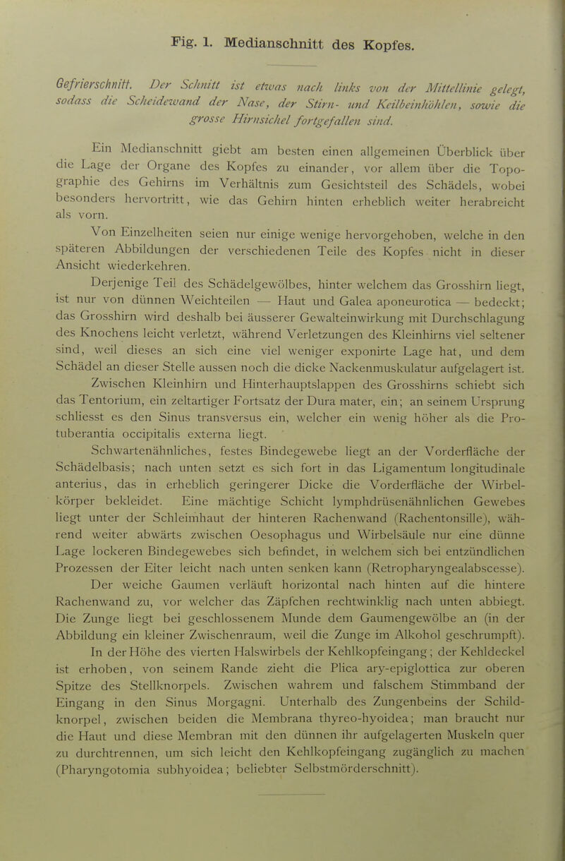 Gefnerschnitt. Der Schnitt ist etzvas nach links von der Mittellinie gelegt, sodass die Scheidezvand der Nase, der Stirn- und Keilbeinhöhlen, sowie die grosse Hirusichel fortgefallen sind. Ein Medianschnitt giebt am besten einen allgemeinen Überblick über die Lage der Organe des Kopfes zu einander, vor allem über die Topo- graphie des Gehirns im Verhältnis zum Gesichtsteil des Schädels, wobei besonders hervortritt, wie das Gehirn hinten erheblich weiter herabreicht als vorn. Von Einzelheiten seien nur einige wenige hervorgehoben, welche in den späteren Abbildungen der verschiedenen Teile des Kopfes nicht in dieser Ansicht wiederkehren. Derjenige Teil des Schädelgewölbes, hinter welchem das Grosshirn liegt, ist nur von dünnen Weichteilen — Haut und Galea aponeurotica — bedeckt; das Grosshirn wird deshalb bei äusserer Gewalteinwirkung mit Durchschlagung des Knochens leicht verletzt, während Verletzungen des Kleinhirns viel seltener sind, weil dieses an sich eine viel weniger exponirte Lage hat, und dem Schädel an dieser Stelle aussen noch die dicke Nackenmuskulatur aufgelagert ist. Zwischen Kleinhirn und Hinterhauptslappen des Grosshirns schiebt sich das Tentorium, ein zeltartiger Fortsatz der Dura mater, ein; an seinem Ursprung schliesst es den Sinus transversus ein, welcher ein wenig höher als die Pro- tuberantia occipitaHs externa liegt. SchwartenähnHches, festes Bindegewebe liegt an der Vorderfläche der Schädelbasis; nach unten setzt es sich fort in das Ligamentum longitudinale anterius, das in erheblich geringerer Dicke die Vorderfläche der Wirbel- körper bekleidet. Eine mächtige Schicht lymphdrüsenähnlichen Gewebes liegt unter der Schleimhaut der hinteren Rachenwand (Rachentonsille), wäh- rend weiter abwärts zwischen Oesophagus und Wirbelsäule nur eine dünne Lage lockeren Bindegewebes sich befindet, in welchem sich bei entzündlichen Prozessen der Eiter leicht nach unten senken kann (Retropharyngealabscesse). Der weiche Gaumen verläuft horizontal nach hinten auf die hintere Rachenwand zu, vor welcher das Zäpfchen rechtwinkUg nach unten abbiegt. Die Zunge liegt bei geschlossenem Munde dem Gaumengewölbe an (in der Abbildung ein kleiner Zwischenraum, weil die Zunge im Alkohol geschrumpft). In der Höhe des vierten Halswirbels der Kehlkopfeingang; der Kehldeckel ist erhoben, von seinem Rande zieht die Plica ary-epiglottica zur oberen Spitze des Stellknorpels. Zwischen wahrem und falschem Stimmband der Eingang in den Sinus Morgagni. Unterhalb des Zungenbeins der Schild- knorpel, zwischen beiden die Membrana thyreo-hyoidea; man braucht nur die Haut und diese Membran mit den dünnen ihr aufgelagerten Muskeln quer zu durchtrennen, um sich leicht den Kehlkopfeingang zugänglich zu machen (Pharyngotomia subhyoidea; beliebter Selbstmörderschnitt).