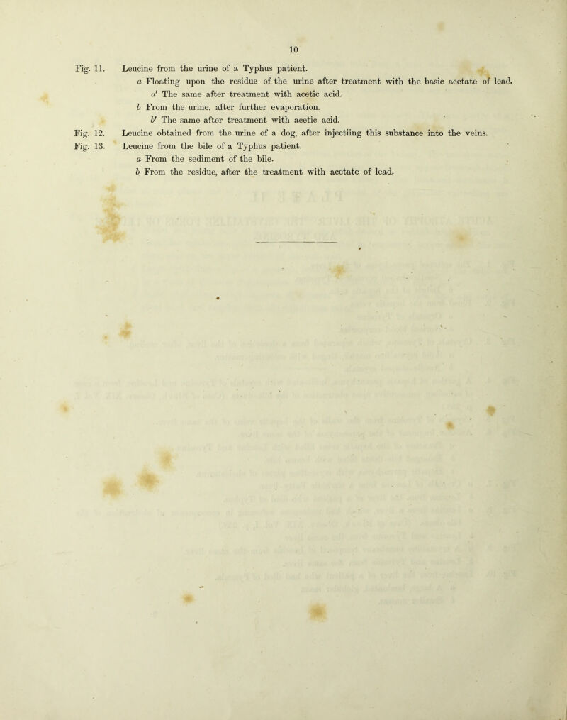 orq orq Fig. 11. Leucine from the urine of a Typhus patient. a Floating upon the residue of the urine after treatment with the basic acetate of lead. a' The same after treatment with acetic acid. h From the urine, after further evaporation. b' The same after treatment with acetic acid. 12. Leucine obtained from the urine of a dog, after injectiing this substance into the veins. 13. Leucine from the bile of a Typhus patient. a From the sediment of the bile. , h From the residue, after the treatment with acetate of lead.