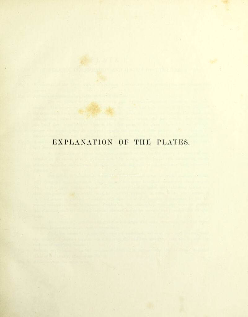 EXPLANATION OF THE PLATES.