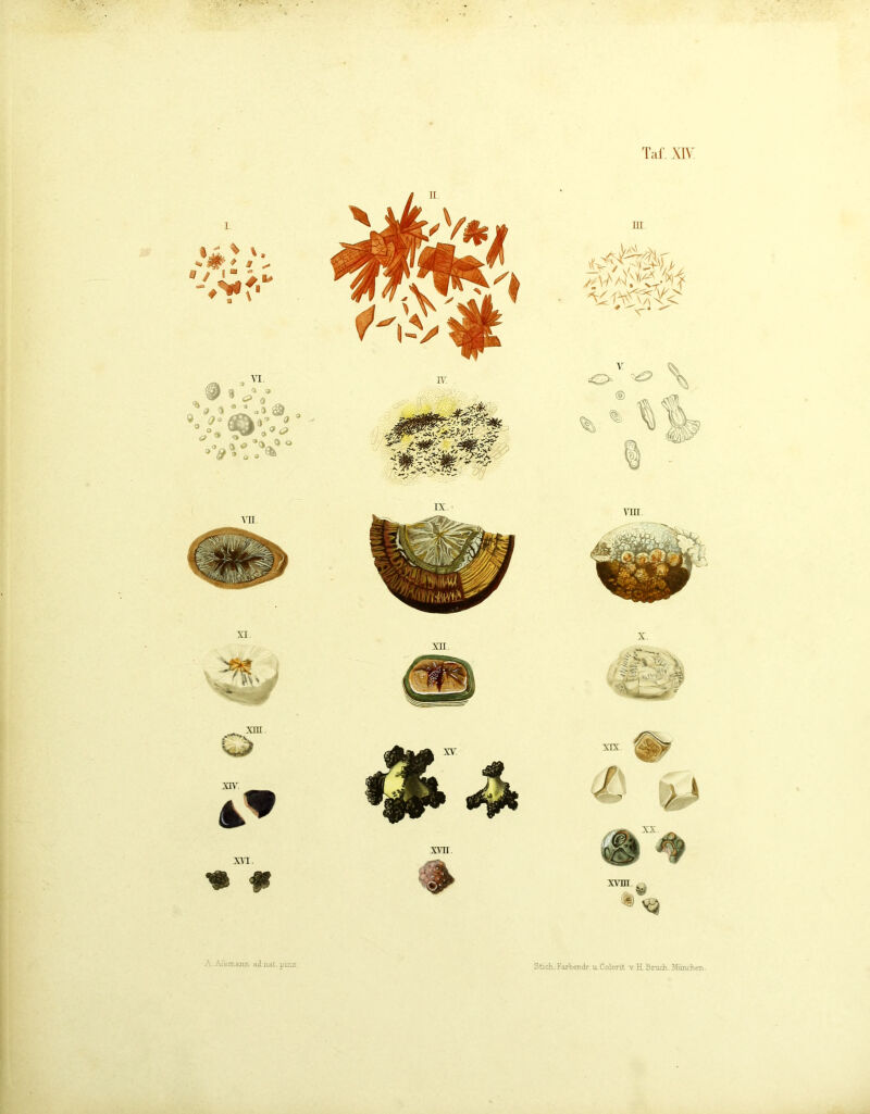 'I’al'. Xl\ A ATsmanri adnat.pmx