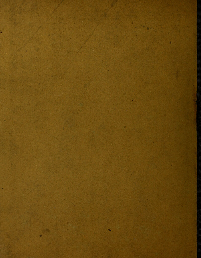 1'. ,., r- ' '■' ■/■> -r^ « *• •• •■ •. '■ ■ \ivi- * ;: -'--a •' . ' '.. < •' •. ^ • ■.- i. ■ ■ V ■■ ::r . , V'.jv-.V.v. v.;^,£ '■' ■ ':. ' ■ '-'i ■'■^ ■ ' ■ -fi-'‘■'‘zK^wk ■ %v;