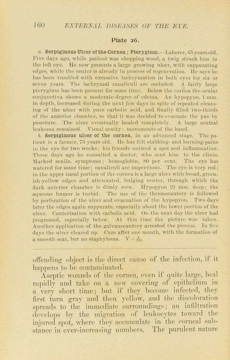 Plate 26. a. Serpiginous Ulcer of the Cornea ; Pterygium.—L:i))oror, (i5 years old. Five days ago, while patient was chopping wood, a twig .struck him in the left eye. He now presents a large growing ulcer, with suppurating edges, while the center is already in process of regeneration. He says he has been troubled with excessive lachryination in both eyes for six or seven years. 'I'lie lachrymal canaliculi are occluded. A fairly large pterygium has been present for some time. Below the cornea the ocular conjunctiva shows a moderate degree of edema. An hypopyon, 1 mm. in depth, increased during the next few days in spite of repeated cleans- ing of the ulcer with ]ture carbolic acid, and tinally filled two-thirds of the anterior chamber, so that it was decided to evacuate the pus by puncture. The ulcer eventually healed completely. A large central leukoma remained. Visual acuity: movements of the hand. h. Serpiginous ulcer of the cornea, in an advanced stage. The pa- tient is a farmer, 75 years old. He has felt stabbing- and burning-pains in the eye for two weeks; his friends noticed a spot and inflammation, 'rhree days ago he consulted a doctor, who sent him to the clinic. .Marked senile, symptoms; hemoglobin, 80 per cent. The eye has watered for some time; canaliculi are impervious. The eye is very red; in the upper nasal imrtion of the cornea is a large nicer with broad, green- ish-yellow edges and attenuated, bulging center, through which the dark anterior chamber is dimly seen. Hy])o])yon 21 mm. deep; the aqueous humor is turbid. The use of the thermocautery is followed by ])erforation of the ulcer and evacuation (»f the hypopyon. Two days later the edges again sui)purate, especially about the lower |)ortion of the ulcer. Cauterization with carbolic acid. On the next day the ulcer had ])rogressed, especially below. At this time the picture was taken. Another application of the galvanocautery arrestesl the process. In five days the ulcer cleared up. Cure after one month, with the formation of a smooth scar, hut 110 staphyloma. V — offending object is tlie direct cause of the infection, if it ha])])cns to be contaminated. Aseptic wounds of the cornea, even if ([iiite large, heal rajiidly and take on a new (iovering of epithelium in a very .short time; but if they become infected, they first turn gray and then yellow, and the discoloration sjtreads to the immediate surroundings; an infiltration develops by the migration of lenkocytes toward the injured spot, ivhere tiiev accumulate in the corneal sub- stance in ever-increasing numbers. The purulent nature