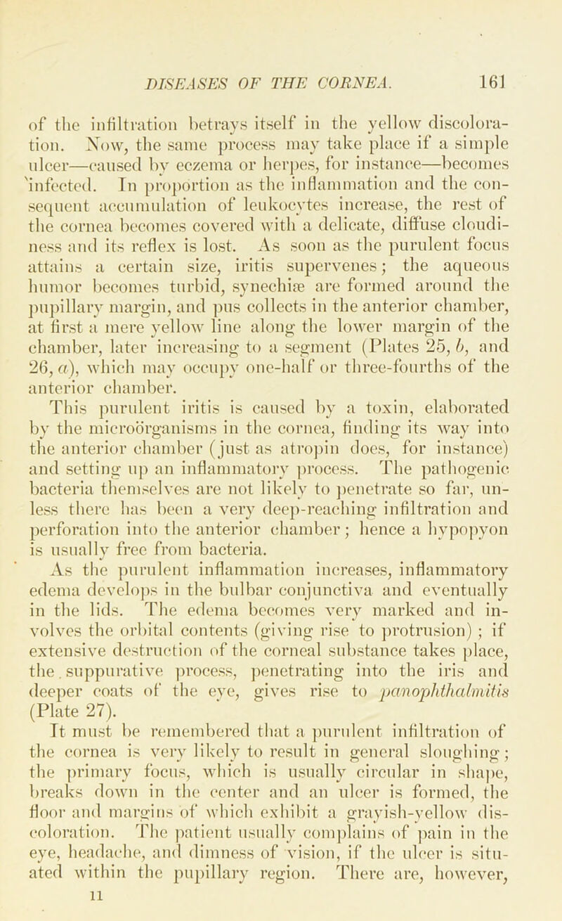 of the iiihltnition hetravs itself in the yellow discolora- tion. Xow, the same process may take place if a simple ulcer—caused by eczema or herpes, for iustauce—becomes 'infected. Tu proportion as the iuHammation and the con- sequent accnmnlation of leukocytes increase, the rest of the cornea becomes covered with a delicate, diffuse cloudi- ness and its reflex is lost. As soon as the purulent focus attains a certain size, iritis supervenes; the aqueous humor becomes turbid, synechife are formed around the j)U])illarv margin, and pus collects in the anterior chamber, at flrst a mere yellow line along the lower margin of the chamber, later increasing to a segment (Plates 25,6, and 26, a), which may occiqw one-half or three-fourths of the anterior chamber. This purulent iritis is caused by a toxin, elaborated by the microorganisms in the cornea, finding its way into the anterior chamber (just as atro])in does, for instance) and setting nj) an inflammatory process. The pathogenic bacteria themselves are not likely to ])enetrate so far, un- less there has been a very (leej)-reaching infiltration and perforation into the anterior chamber; hence a hypopyon is usually free from bacteria. As the purulent inflammation increases, inflammatory edema develops in the bulbar conjunctiva and eventually in the lids. The edema becomes very marked and in- volves the orbital contents (giving rise to jn’otrnsion) ; if extensive destruction of the corneal sub.stance takes place, the. suppurative process, penetrating into the iris and deeper coats of the eye, gives rise to panophthalmitis (Plate 27). Tt must be nanembered that a pnndent infiltration of the cornea is very likely to result in general sloughing; the ])rimary focus, which is usually circular in shape, breaks down in the center and an ulcer is formed, the floor and margins of which exhibit a grayish-yellow dis- coloration. The patient usually comj)lains of pain in the eye, headache, and dimness of vision, if the ulcer is situ- ated within the 2>npibary region. There are, however, 11