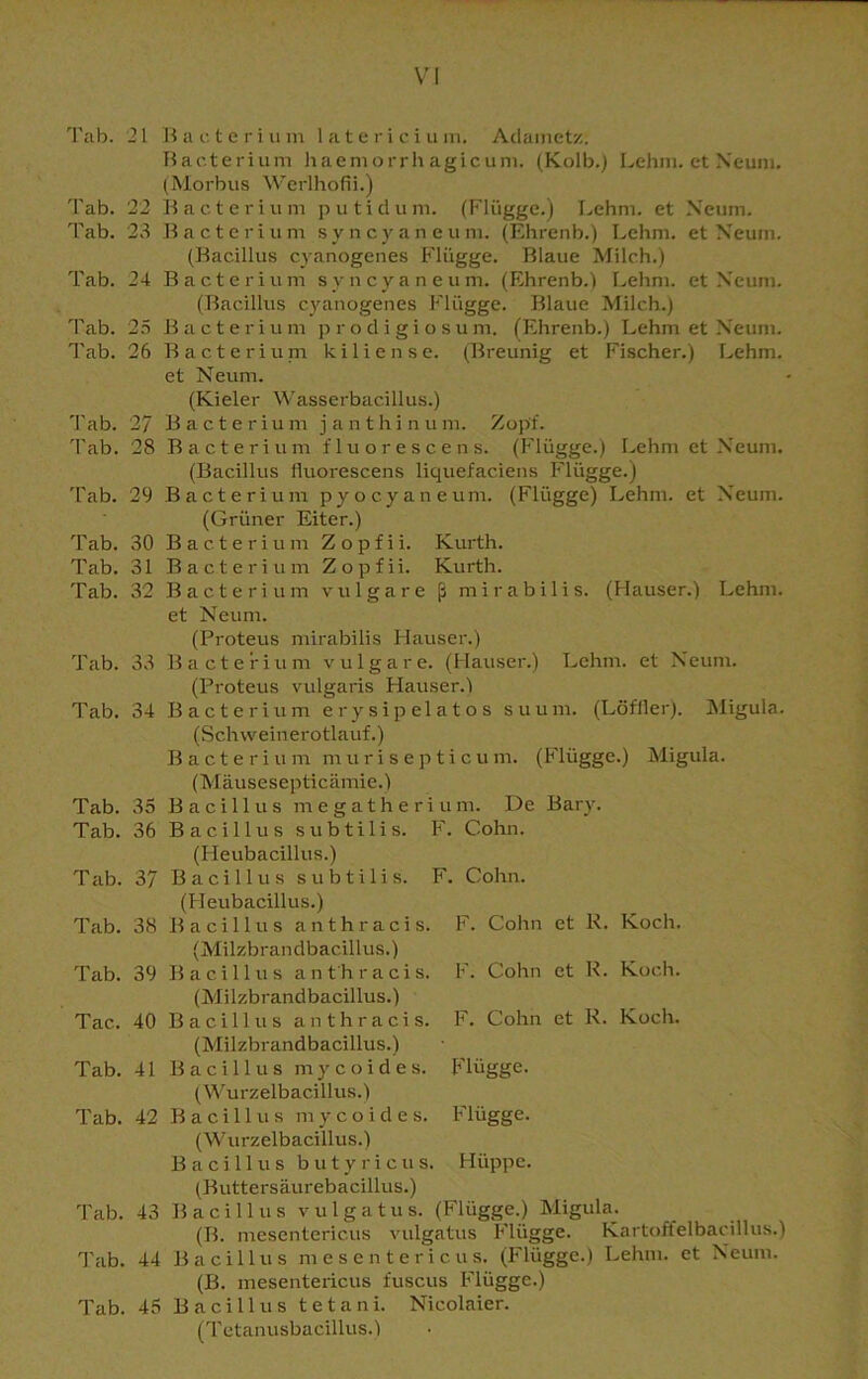Tab. 21 Tab. 22 Tab. 23 Tab. 24 Tab. 25 Tab. 26 Tab. 27 Tab. 28 Tab. 29 Tab. 30 Tab. 31 Tab. 32 Tab. 33 Tab. 34 Tab. 35 Tab. 36 Tab. 37 Tab. 38 Tab. 39 Tac. 40 Tab. 41 Tab. 42 Tab. 43 Tab. 44 Tab. 45 Ba c t e r i um latericium. Adamctz. Bacterium haeniorrhagicum. (Kolb.) Lehm, et Neun). (Morbus Werlhofii.) Bacterium putidum. (Flügge.) Lehm, et Neum. Bacterium syncyaneum. (Ehrenb.) Lehm, et Neum. (Bacillus cyanogenes Flügge. Blaue Milch.) Bacterium syncyaneum. (Ehrenb.) Lehm, et Neum. (Bacillus cyanogenes Flügge. Blaue Milch.) Bacterium prodigiosum. (Ehrenb.) Lehm et Neum. Bacterium kiliense. (Breunig et Fischer.) Lehm, et Neum. (Kieler Wasserbacillus.) Bacterium j a n t h i n u m. Zopf. Bacterium fluorescens. (Flügge.) Lehm et Neum. (Bacillus fluorescens liquefaciens Flügge.) Bacterium pyocyaneum. (Flügge) Lehm, et Neum. (Grüner Eiter.) Bacterium Z o p f i i. Kurth. Bacterium Zopfii. Kurth. Bacterium vulgare ß mirabilis. (Ffauser.) Lehm, et Neum. (Proteus mirabilis Hauser.) Bacterium vulgare. (Hauser.) Lehm, et Neum. (Proteus vulgaris Hauser.f Bacterium erysipelatos suum. (Löffler). Migula. (Schweinerotlauf.) Bacterium nuirisepticum. (Flügge.) Migula. (Mäusesepticämie.) Bacillus megatherium. De Bary. Bacillus subtilis. F. Cohn. (Heubacillus.) Bacillus subtilis. F. Cohn. (Heubacillus.) Bacillus anthracis. F. Cohn et K. Koch. (Milzbrandbacillus.) Bacillus an t'h racis. (Milzbrandbacillus.) Bacillus anthracis. (Milzbrandbacillus.) Bacillus mycoides. (Wurzelbacillus.) Bacillus mycoides. (W urzelbacillus.) Bacillus butyricus. (Buttersäurebacillus.) Bacillus vulgatus. (Flügge.) Migula. (B. mesentericus vulgatus Flügge. Kartoffelbacillus.) Bacillus mesentericus. (Flügge.) Lehm, et Neum. (B. mesentericus fuscus Flügge.) Bacillus tetani. Nicolaier. (Tetanusbacillus.) F. Cohn et R. Koch. F. Cohn et R. Koch. Flügge. Flügge. Hüppe.