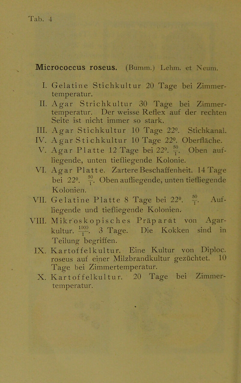 Micrococcus roseus. (Bumtn.) Lehm, et Xeum. I. Gelatine Stichkultur 20 Tage bei Zimmer- temperatur. II. Agar Strichkultur 30 Tage bei Zimmer- temperatur. Der weisse Reflex auf der rechten Seite ist nicht immer so stark. III. Agar Stichkultur 10 Tage 22°. Stichkanal. IV. A gar S t i chkultu r 10 Tage 22°. Oberfläche. V. Agar Platte 12 Tage bei 22°. y. Oben auf- liegende, unten tiefliegende Kolonie. VI. Agar Platte. Zartere Beschaffenheit. 14 Tage bei 22°. y. Oben aufliegende, unten tiefliegende Kolonien. VTI. Gelatine Platte 8 Tage bei 22°. y. Auf- liegende und tiefliegende Kolonien. VIII. Mikroskopisches Präparat von Agar- kultur. 3 Tage. Die Kokken sind in Teilung begriffen. IX. Kartoffelkultur. Eine Kultur von Diploc. roseus auf einer Milzbrandkultur gezüchtet. 10 Tage bei Zimmertemperatur. X. Kartoffelkultur. 20 Tage bei Zimmer- temperatur.