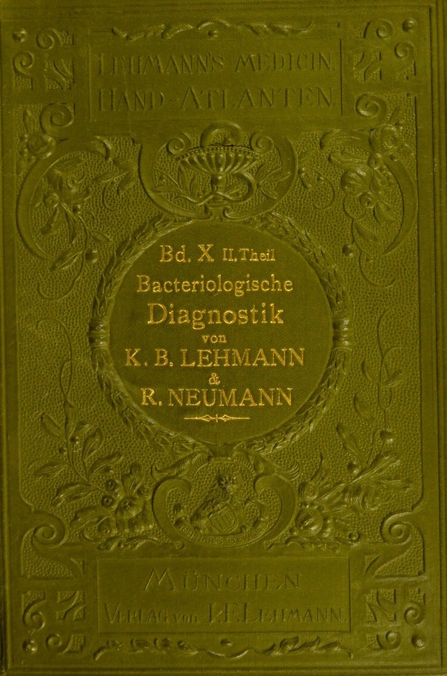 digitised image 1
