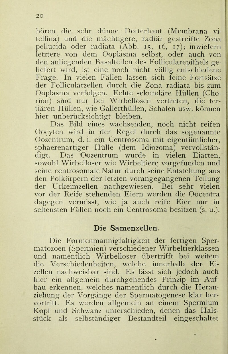 hören die sehr dünne Dotterhaut (Membrana vi- tellina) und die mächtigere, radiär gestreifte Zona pellucida oder radiata (Abb. 15, 16, 17); inwiefern letztere von dem Ooplasma selbst, oder auch von den anliegenden Basalteilen des Follicularepithels ge- liefert wird, ist eine noch nicht völlig entschiedene Frage. In vielen Fällen lassen sich feine Fortsätze der Follicularzellen durch die Zona radiata bis zum Ooplasma verfolgen. Echte sekundäre Hüllen (Cho- rion) sind nur bei Wirbellosen vertreten, die ter- tiären Hüllen, wie Gallerthüllen, Schalen usw. können hier unberücksichtigt bleiben. Das Bild eines wachsenden, noch nicht reifen Oocyten wird in der Regel durch das sogenannte Oozentrum, d. i. ein Centrosoma mit eigentümlicher, sphaerenartiger Hülle (dem Idiozoma) vervollstän- digt. Das Oozentrum wurde in vielen Eiarten, sowohl Wirbelloser wie Wirbeltiere vorgefunden und seine centrosomale Natur durch seine Entstehung aus den Polkörpern der letzten vorangegangenen Teilung der Urkeimzellen nachgewiesen. Bei sehr vielen vor der Reife stehenden Eiern werden die Oocentra dagegen vermisst, wie ja auch reife Eier nur in seltensten Fällen noch ein Centrosoma besitzen (s. u.). Die Samenzellen. Die Formenmannigfaltigkeit der fertigen Sper- matozoen (Spermien) verschiedener Wirbeltierklassen und namentlich Wirbelloser übertrifft bei weitem die Verschiedenheiten, welche innerhalb der Ei- zellen nachweisbar sind. Es lässt sich jedoch auch hier ein allgemein durchgehendes Prinzip im Auf- bau erkennen, welches namentlich durch die Heran- ziehung der Vorgänge der Spermatogenese klar her- vortritt. Es werden allgemein an einem Spermium Kopf und Schwanz unterschieden, denen das Hals- stück als selbständiger Bestandteil eingeschaltet