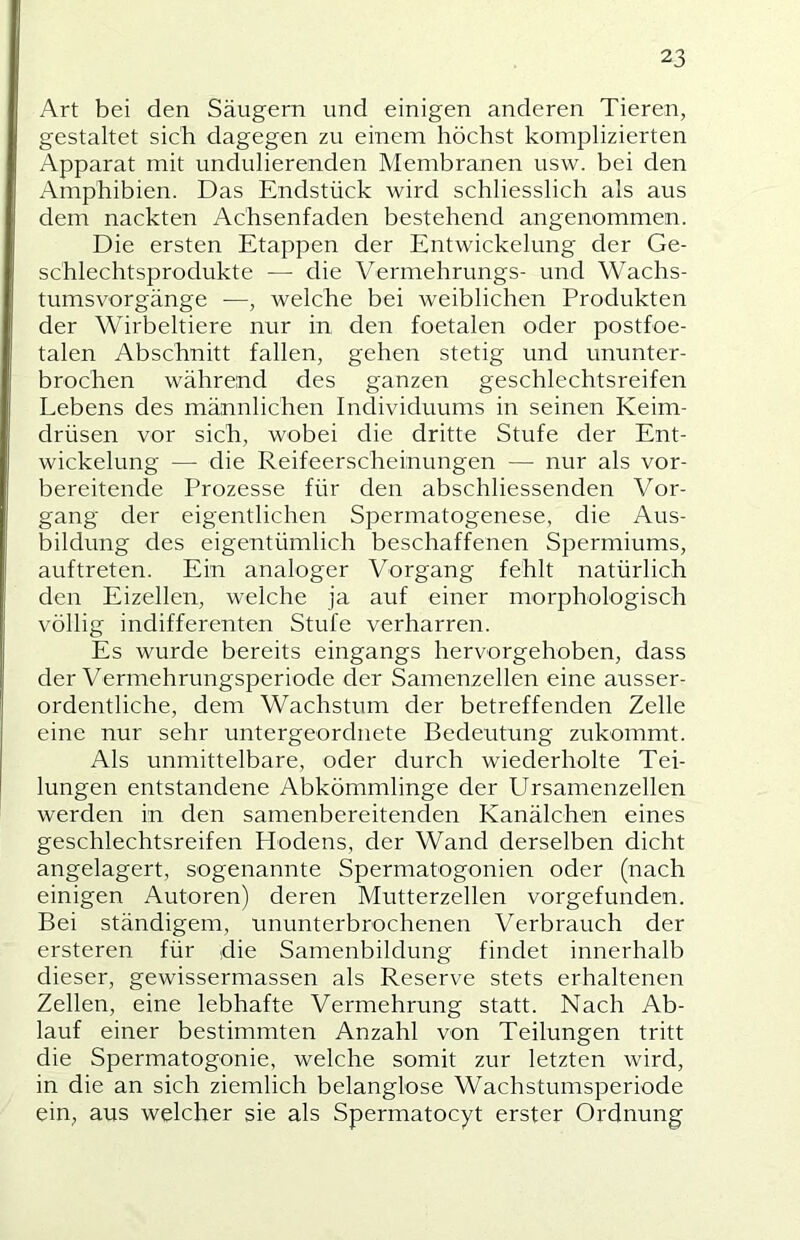 Art bei den Säugern und einigen anderen Tieren, gestaltet sich dagegen zu einem höchst komplizierten Apparat mit undulierenden Membranen usw. bei den Amphibien. Das Endstück wird schliesslich als aus dem nackten Achsenfaden bestehend angenommen. Die ersten Etappen der Entwickelung der Ge- schlechtsprodukte —■ die Vermehrungs- und Wachs- tumsvorgänge —, welche bei weiblichen Produkten der Wirbeltiere nur in den foetalen oder postfoe- talen Abschnitt fallen, gehen stetig und ununter- brochen während des ganzen geschlechtsreifen Lebens des männlichen Individuums in seinen Keim- drüsen vor sich, wobei die dritte Stufe der Ent- wickelung — die Reifeerscheinungen — nur als vor- bereitende Prozesse für den abschliessenden Vor- gang der eigentlichen Spermatogenese, die Aus- bildung des eigentümlich beschaffenen Spermiums, auftreten. Ein analoger Vorgang fehlt natürlich den Eizellen, welche ja auf einer morphologisch völlig indifferenten Stufe verharren. Es wurde bereits eingangs hervorgehoben, dass der Vermehrungsperiode der Samenzellen eine ausser- ordentliche, dem Wachstum der betreffenden Zelle eine nur sehr untergeordnete Bedeutung zukommt. Als unmittelbare, oder durch wiederholte Tei- lungen entstandene Abkömmlinge der Ursamenzellen werden in den samenbereitenden Kanälchen eines geschlechtsreifen Hodens, der Wand derselben dicht angelagert, sogenannte Spermatogonien oder (nach einigen Autoren) deren Miitterzellen vorgefunden. Bei ständigem, ununterbrochenen Verbrauch der ersteren für die Samenbildung findet innerhalb dieser, gewissermassen als Reserve stets erhaltenen Zellen, eine lebhafte Vermehrung statt. Nach Ab- lauf einer bestimmten Anzahl von Teilungen tritt die Spermatogonie, welche somit zur letzten wird, in die an sich ziemlich belanglose Wachstumsperiode ein, aus welcher sie als Spermatocyt erster Ordnung