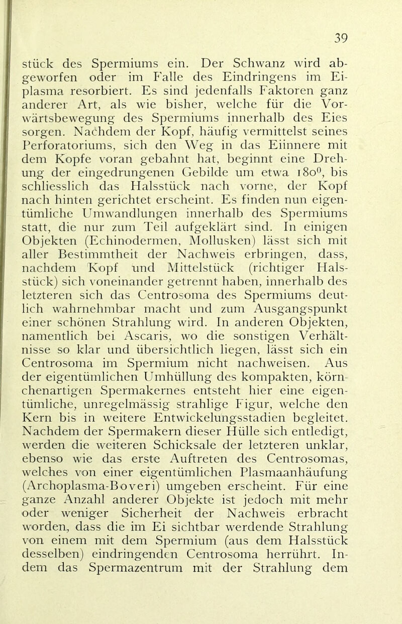 stück des Spermiums ein. Der Schwanz wird ab- geworfen oder im Falle des Eindringens im Ei- plasma resorbiert. Es sind jedenfalls Faktoren ganz anderer Art, als wie bisher, welche für die Vor- wärtsbewegung des Spermiums innerhalb des Eies sorgen. Nachdem der Kopf, häufig vermittelst seines PerfOratoriums, sich den Weg in das Eiinnere mit dem Kopfe voran gebahnt hat, beginnt eine Dreh- ung der eingedrungenen Gebilde um etwa 180'’, bis schliesslich das Halsstück nach vorne, der Kopf nach hinten gerichtet erscheint. Es finden nun eigen- tümliche Umwandlungen innerhalb des Spermiums statt, die nur zum Teil aufgeklärt sind. In einigen Objekten (Echinodermen, Mollusken) lässt sich mit aller Bestimmtheit der Nachweis erbringen, dass, nachdem Kopf und Mittelstück (richtiger Hals- stück) sich voneinander getrennt haben, innerhalb des letzteren sich das Centrosoma des Spermiums deut- lich wahrnehmbar macht und zum Ausgangspunkt einer schönen Strahlung wird. In anderen Objekten, namentlich bei Ascaris, wo die sonstigen Verhält- nisse so klar und übersichtlich liegen, lässt sich ein Centrosoma im Spermium nicht nachweisen. Aus der eigentümlichen Umhüllung des kompakten, körn chenartigen Sperniakernes entsteht hier eine eigen- tümliche, unregelmässig strahlige Figur, welche den Kern bis in weitere Entwickelungsstadien begleitet. Nachdem der Spermakern dieser Hülle sich entledigt, werden die weiteren Schicksale der letzteren unklar, ebenso wie das erste Auftreten des Centrosomas, welches von einer eigentümlichen Plasmaanhäufung (Archoplasma-Boveri) umgeben erscheint. Für eine ganze Anzahl anderer Objekte ist jedoch mit mehr oder weniger Sicherheit der Nachweis erbracht worden, dass die im Ei sichtbar werdende Strahlung von einem mit dem Spermium (aus dem Halsstück desselben) eindringenden Centrosoma herrührt. In- dem das Spermazentrum mit der Strahlung dem