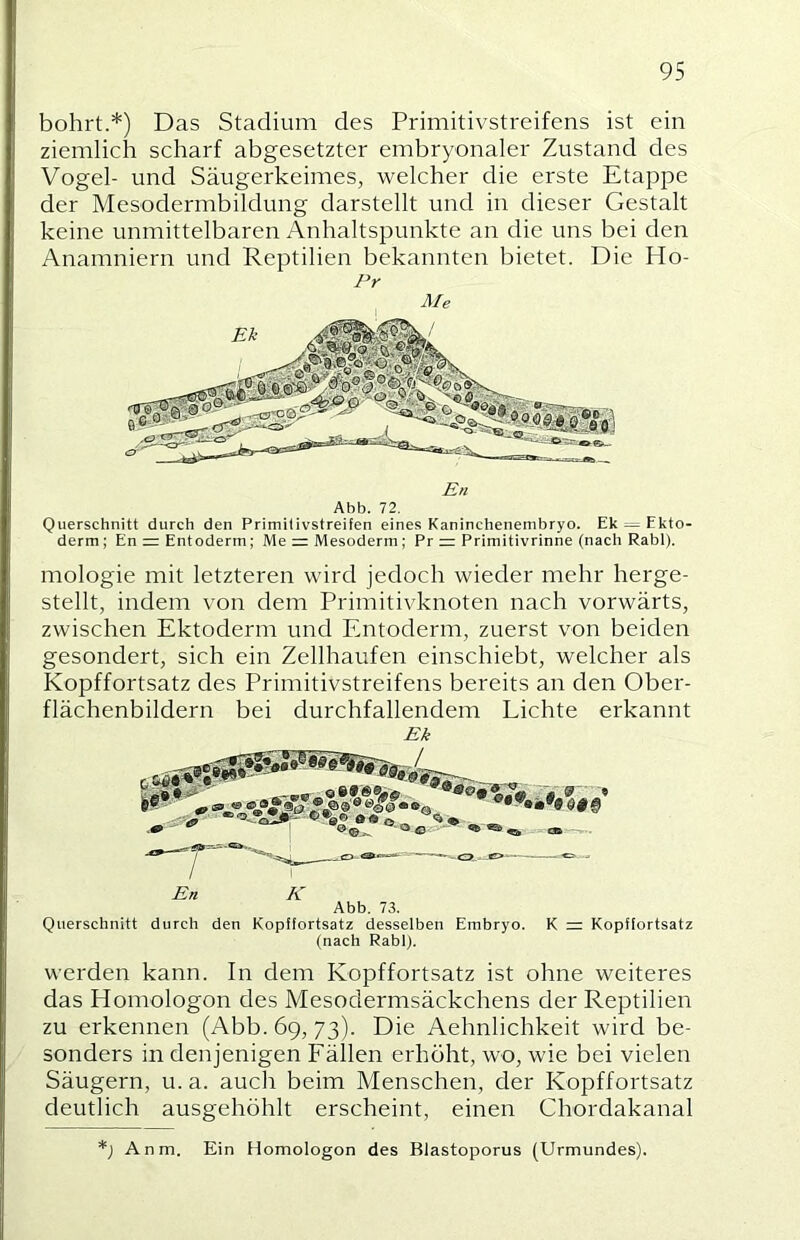 bohrt.*) Das Stadium des Primitivstreifens ist ein ziemlich scharf abgesetzter embryonaler Zustand des Vogel- und Säugerkeimes, welcher die erste Etappe der Mesodermbildung darstellt und in dieser Gestalt keine unmittelbaren Anhaltspunkte an die uns bei den Anamniern und Reptilien bekannten bietet. Die Ho- Pr Me Abb. 72. Querschnitt durch den Primitivstreifen eines Kaninchenembryo. Ek ~ Ekto- derm; En =: Entoderm; Me = Mesoderm; Pr = Primitivrinne (nach Rabl). mologie mit letzteren wird jedoch wieder mehr herge- stellt, indem von dem Primitivknoten nach vorwärts, zwischen Ektoderm und Entoderm, zuerst von beiden gesondert, sich ein Zellhaufen einschiebt, welcher als Kopffortsatz des Primitivstreifens bereits an den Ober- flächenbildern bei durchfallendem Lichte erkannt Bk Abb. 73. Querschnitt durch den Kopffortsatz desselben Embryo. (nach Rabl). K = Kopffortsatz werden kann. In dem Kopffortsatz ist ohne weiteres das Homologon des Mesodermsäckchens der Reptilien zu erkennen (Abb. 69, 73). Die Aehnlichkeit wird be- sonders in denjenigen Fällen erhöht, wo, wie bei vielen Säugern, u. a. auch beim Menschen, der Kopffortsatz deutlich ausgehöhlt erscheint, einen Chordakanal *j Anm. Ein Homologon des Blastoporus (Urmundes).