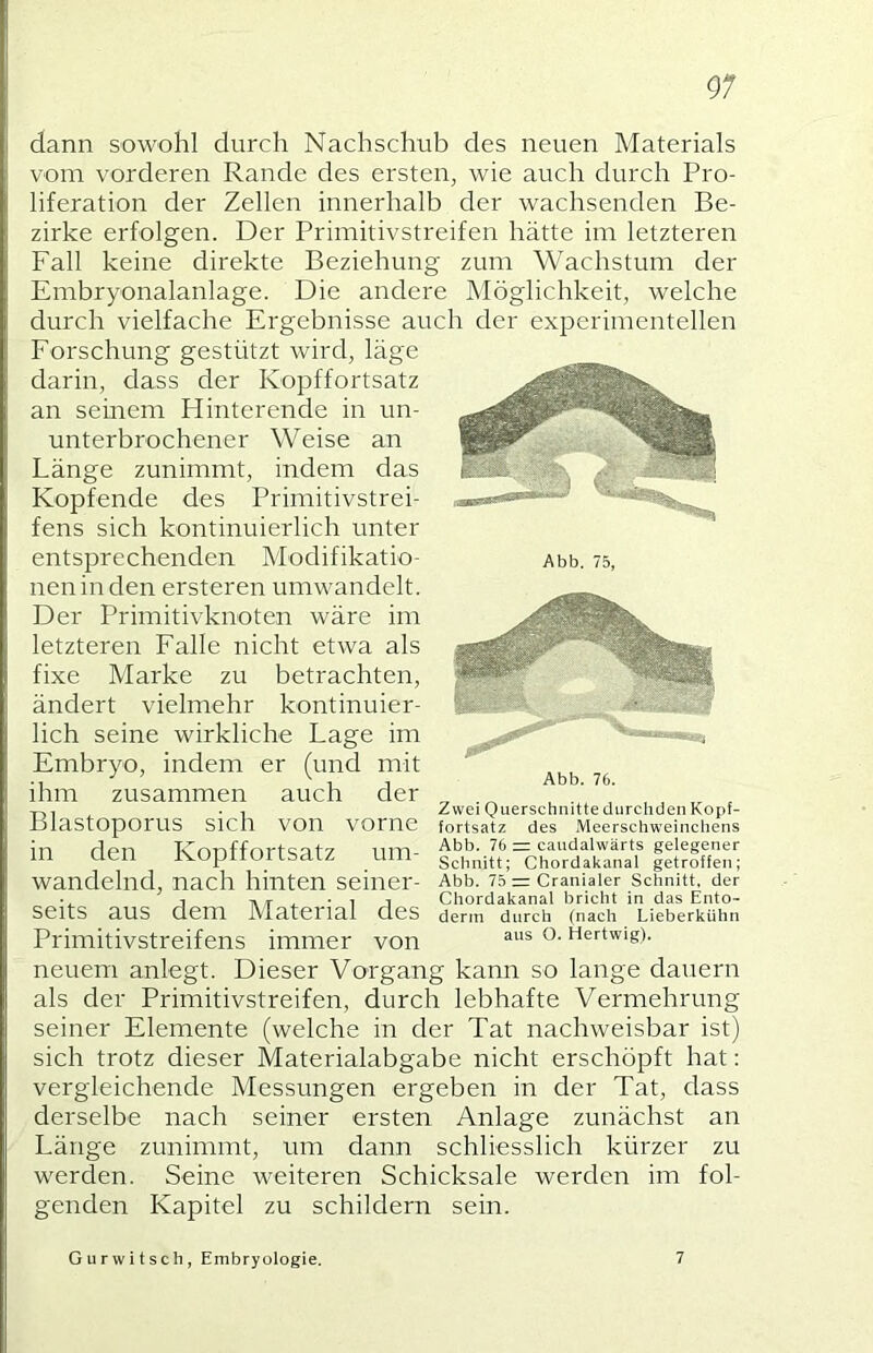 dann sowohl durch Nachschub des neuen Materials vom vorderen Rande des ersten, wie auch durch Pro- liferation der Zellen innerhalb der wachsenden Be- zirke erfolgen. Der Primitivstreifen hätte im letzteren Fall keine direkte Beziehung zum Wachstum der Embryonalanlage. Die andere Möglichkeit, welche durch vielfache Ergebnisse auch der experimentellen Forschung gestützt wird, läge darin, dass der Kopffortsatz an seurem Hinterende in un- unterbrochener Weise an Länge zunimmt, indem das Kopfende des Primitivstrei- fens sich kontinuierlich unter entsprechenden Modifikatio- nen in den ersteren umwandelt. Der Primitivknoten wäre im letzteren Falle nicht etwa als fixe Marke zu betrachten, ändert vielmehr kontinuier- lich seine wirkliche Lage im Embryo, indem er (und mit ihm zusammen auch der Blastoporus sich von in den Kopffortsatz um- wandelnd, nach hinten seiner- Abb. 75, Abb. 76. Zwei Querschnitte diirchden Kopf- VOrne tortsatz des Meerschweinchens Abb. 76 = candalwärts gelegener Schnitt; Chordakanal getroffen; Abb. 75 = Cranialer Schnitt, der • ^ ^ n T ^ 1 Chordakanal bricht in das Ento- SeitS aus dem JVlaterial des denn durch (nach Lieberkühn Primitivstreifens immer von ^ertwig). neuem anlegt. Dieser Vorgang kann so lange dauern als der Primitivstreifen, durch lebhafte Vermehrung seiner Elemente (welche in der Tat nachweisbar ist) sich trotz dieser Materialabgabe nicht erschöpft hat: vergleichende Messungen ergeben in der Tat, dass derselbe nach seiner ersten Anlage zunächst an Länge zunimmt, um dann schliesslich kürzer zu werden. Seine weiteren Schicksale werden im fol- genden Kapitel zu schildern sein. Gurwitsch, Embryologie. 7