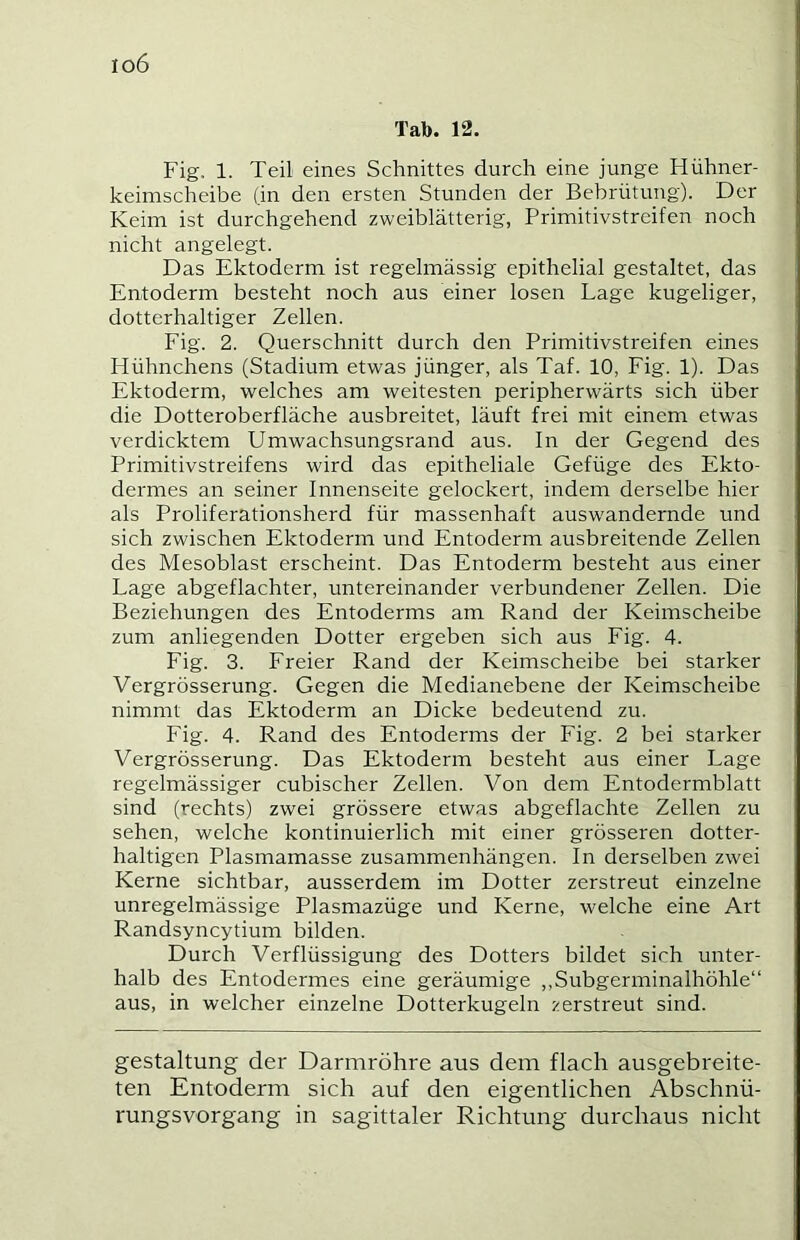 io6 Tab. 12. Fig. 1. Teil eines Schnittes durch eine junge Hühner- keimscheibe (,in den ersten Stunden der Bebrütung). Der Keim ist durchgehend zweiblätterig, Primitivstreifen noch nicht angelegt. Das Ektoderm ist regelmässig epithelial gestaltet, das Entoderm besteht noch aus einer losen Lage kugeliger, dotterhaltiger Zellen. Fig. 2. Querschnitt durch den Primitivstreifen eines Hühnchens (Stadium etwas jünger, als Taf. 10, Fig. 1). Das Ektoderm, welches am weitesten peripherwärts sich über die Dotteroberfläche ausbreitet, läuft frei mit einem etwas verdicktem Umwachsungsrand aus. In der Gegend des Primitivstreifens wird das epitheliale Gefüge des Ekto- dermes an seiner Innenseite gelockert, indem derselbe hier als Proliferationsherd für massenhaft ausw'andernde und sich zwischen Ektoderm und Entoderm ausbreitende Zellen des Mesoblast erscheint. Das Entoderm besteht aus einer Lage abgeflachter, untereinander verbundener Zellen. Die Beziehungen des Entoderms am Rand der Keimscheibe zum anliegenden Dotter ergeben sich aus Fig. 4. Fig. 3. Freier Rand der Keimscheibe bei starker Vergrösserung. Gegen die Medianebene der Keimscheibe nimmt das Ektoderm an Dicke bedeutend zu. Fig. 4. Rand des Entoderms der Fig. 2 bei starker Vergrösserung. Das Ektoderm besteht aus einer Lage regelmässiger cubischer Zellen. Von dem Entodermblatt sind (rechts) zwei grössere etwas abgeflachte Zellen zu sehen, welche kontinuierlich mit einer grösseren dotter- haltigen Plasmamasse Zusammenhängen. In derselben zwei Kerne sichtbar, ausserdem im Dotter zerstreut einzelne unregelmässige Plasmazüge und Kerne, welche eine Art Randsyncytium bilden. Durch Verflüssigung des Dotters bildet sich unter- halb des Entodermes eine geräumige ,,Subgerminalhöhle“ aus, in welcher einzelne Dotterkugeln zerstreut sind. gestaltung der Darmröhre aus dem flach ausgebreite- ten Entoderm sich auf den eigentlichen Abschnü- rungsvorgang in sagittaler Richtung durchaus nicht