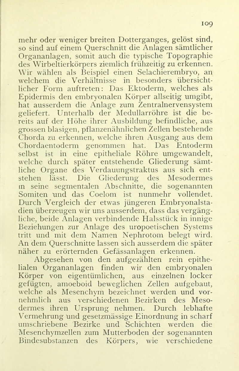 109 mehr oder weniger breiten Dotterganges, gelöst sind, so sind auf einem Querschnitt die Anlagen sämtlicher Organanlagen, somit auch die typische Topographie des Wirbeltierkörpers ziemlich frühzeitig zu erkennen. Wir wählen als Beispiel einen Selachierembryo, an welchem die Verhältnisse in besonders übersicht- licher Form auftreten: Das Ektoderm, welches als Epidermis den embryonalen Körper allseitig umgibt, hat ausserdem die Anlage zum Zentralnervensystem geliefert. Unterhalb der Medullarröhre ist die be- reits auf der Höhe ihrer Ausbildung befindliche, aus grossen blasigen, pflanzenähnlichen Zellen bestehende Chorda zu erkennen, welche ihren Ausgang aus dem Chordaentoderm genommen hat. Das Entoderm selbst ist in eine epitheliale Röhre umgewandelt, welche durch später entstehende Gliederung sämt- liche Organe des Verdauungstraktus aus sich ent- stehen lässt. Die Gliederung des Mesodermes m seine segmentalen Abschnitte, die sogenannten Somiten tmd das Coelom ist nunmehr vollendet. Durch Vergleich der etwas jüngeren Embryonalsta- dien überzeugen wir uns ausserdem, dass das vergäng- liche, beide Anlagen verbindende Halsstück in innige Beziehungen zur Anlage des uropoetischen Systems tritt und mit dem Namen Nephrotom belegt wird. An dem Querschnitte lassen sich ausserdem die später näher zu erörternden Gefässanlagen erkennen. Abgesehen von den aufgezählten rein epithe- lialen Organanlagen finden wir den embryonalen Körper von eigentümlichen, aus einzelnen locker gefügten, amoeboid beweglichen Zellen aufgebaut, welche als Mesenchym bezeichnet werden und vor- nehmlich aus verschiedenen Bezirken des Meso- dermes ihren Ursprung nehmen. Durch lebhafte Vermehrung ünd gesetzmässige Einordnung in scharf umschriebene Bezirke und Schichten werden die Mesenchymzellen zum Mutterboden der sogenannten Bindesubstanzen des Körpers, wie verschiedene