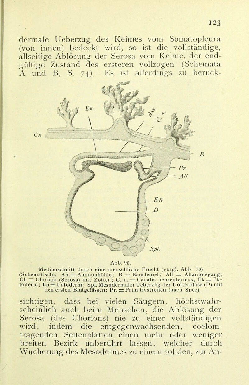 dermale Ueberzug des Keimes vom Somatopleura (von innen) bedeckt wird, so ist die vollständige, allseitige Ablösung der Serosa vom Keime, der end- gültige Zustand des ersteren vollzogen (Schemata A und B, S. 74). Es ist allerdings zu berück- Abb. 90. Medianschnitt durch eine menschliche Frucht (vergl. Abb. 70) (Schematisch). Am= Amnionhöhle ; B = Bauchsriel; All =: Allantoisgang; Ch = Chorion (Serosa) mit Zotten; C. n. =r Canalis neureutericus; Ek = Ek- toderm; En = Entoderm ; Spl. Mesodermaler Ueberzug der Dotterblase (D) mit den ersten Blutgefässen; Pr. = Primitivstreifen (nach Spee). sichtigen, dass bei vielen Säugern, höchstwahr- scheinlich auch beim Menschen, die Ablösung der Serosa (des Chorions) nie zu einer vollständigen wird, indem die entgegenwachsenden, coelom- tragenden Seitenplatten einen mehr oder weniger breiten Bezirk unberührt lassen, welcher durch Wucherung des Mesodermes zu einem soliden, zur An-