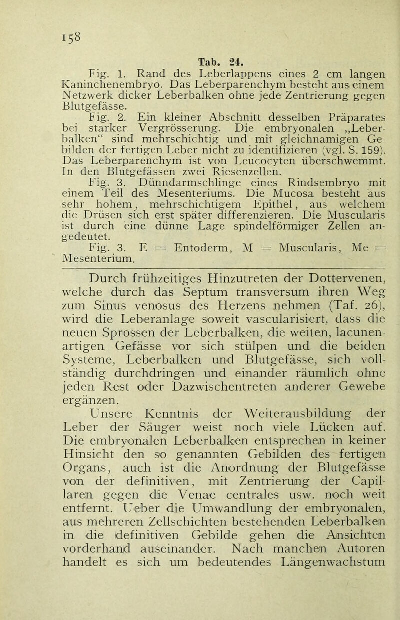 Tab. 24. Fig. 1. Rand des Leberlappens eines 2 cm langen Kaninchenembryo. Das Leberparenchym besteht aus einem Netzwerk dicker Leberbalken ohne jede Zentrierung gegen Blutgefässe. Fig. 2. Ein kleiner Abschnitt desselben Präparates bei starker Vergrösserung. Die embryonalen ,,Leber- balken“ sind mehrschichtig und mit gleichnamigen Ge- bilden der fertigen Leber nicht zu identifizieren (vgl. S. 159). Das Leberparenchym ist von Leucocyten überschwemmt. In den Blutgefässen zwei Riesenzellen. Fig. 3. Dünndarmschlinge eines Rindsembryo mit einem Teil des Mesenteriums. Die Mucosa besteht aus sehr hohem, mehrschichtigem Epithel, aus welchem die Drüsen sich erst später differenzieren. Die Muscularis ist durch eine dünne Lage spindelförmiger Zellen an- gedeutet. Fig. 3. E = Entoderm, M = Muscularis, Me = Mesenterium. Durch frühzeitiges Hinzutreten der Dottervenen, welche durch das Septum transversum ihren Weg zum Sinus venosus des Herzens nehmeai (Taf. 26), wird die Leberanlage soweit vascularisiert, dass die neuen Sprossen der Leberbalken, die weiten, lacunen- artigen Gefässe vor sich stülpen und die beiden Systeme, Leberbalken und Blutgefässe, sich voll- ständig durchdringen und einander räumlich ohne jeden Rest oder Dazwischentreten anderer Gewebe ergänzen. Unsere Kenntnis der Weiterausbildung der Leber der Säuger weist noch viele Lücken auf. Die embryonalen Leberbalken entsprechen in keiner Hinsicht den so genannten Gebilden des fertigen Organs, auch ist die Anordnung der Blutgefässe von der definitiven, mit Zentrierung der Capil- laren gegen die Venae centrales usw. noch weit entfernt. Ueber die Umwandlung der embryonalen, aus mehreren Zellschichten bestehenden Leberbalken in die definitiven Gebilde gehen die Ansichten vorderhand auseinander. Nach manchen Autoren handelt es sich um bedeutendes Längenwachstum