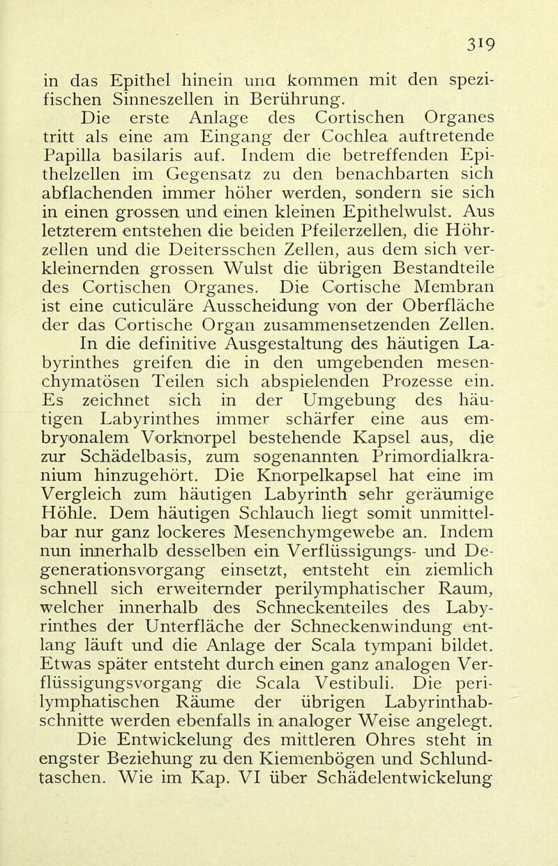 in das Epithel hinein una kommen mit den spezi- fischen Sinneszellen in Berührung. Die erste Anlage des Cortischen Organes tritt als eine am Eingang der Cochlea auftretende Papilla basilaris auf. Indem die betreffenden Epi- thelzellen im Gegensatz zu den benachbarten sich abflachenden immer höher werden, sondern sie sich in einen grossen und einen kleinen Epithelwulst. Aus letzterem entstehen die beiden Pfeilerzellen, die Höhr- zellen und die Deitersschen Zellen, aus dem sich ver- kleinernden grossen Wulst die übrigen Bestandteile des Cortischen Organes. Die Cortische Membran ist eine cuticuläre Ausscheidung von der Oberfläche der das Cortische Organ zusammensetzenden Zellen. In die definitive Ausgestaltung des häutigen La- byrinthes greifen die in den umgebenden mesen- chymatösen Teilen sich abspielenden Prozesse ein. Es zeichnet sich in der Umgebung des häu- tigen Labyrinthes immer schärfer eine aus em- bryonalem Vorkhorpel bestehende Kapsel aus, die zur Schädelbasis, zum sogenannten Primordialkra- nium hinzugehört. Die Knorpelkapsel hat eine im Vergleich zum häutigen Labyrinth sehr geräumige Höhle. Dem häutigen Schlauch liegt somit unmittel- bar nur ganz lockeres Mesenchymgewebe an. Indem nun innerhalb desselben ein Verflüssigungs- und De- generationsvorgang einsetzt, entsteht ein ziemlich schnell sich erweiternder perilymphatischer Raum, welcher innerhalb des Schneckenteiles des Laby- rinthes der Unterfläche der Schneckenwindung ent- lang läuft und die Anlage der Scala tympani bildet. Etwas später entsteht durch einen ganz analogen Ver- flüssigungsvorgang die Scala Vestibuli. Die peri- lymphatischen Räume der übrigen Labyrinthab- schnitte werden ebenfalls in analoger Weise angelegt. Die Entwickelung des mittleren Ohres steht in engster Beziehung zu den Kiemenbögen und Schlund- taschen. Wie im Kap. VI über Schädelentwickelung