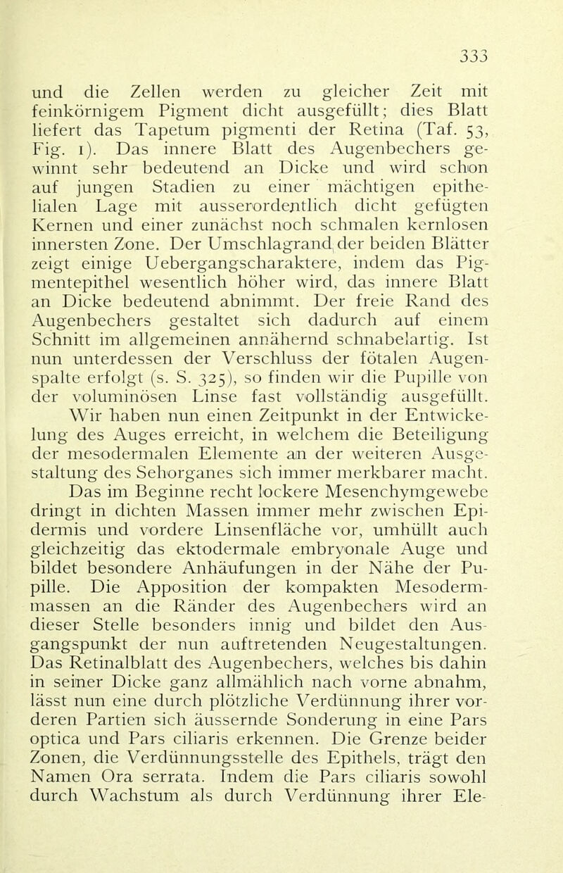 und die Zellen werden zu gleicher Zeit mit feinkörnigem Pigment dicht ausgefüllt; dies Blatt liefert das Tapetum pigmenti der Retina (Taf. 53, Fig. i). Das innere Blatt des Augenbechers ge- winnt sehr bedeutend an Dicke und wird schon auf jungen Stadien zu einer mächtigen epithe- lialen Lage mit ausserordentlich dicht gefügten Kernen und einer zunächst noch schmalen kernlosen innersten Zone. Der Umschlagrand der beiden Blätter zeigt einige Uebergangscharaktere, indem das Pig- mentepithel wesentlich höher wird, das innere Blatt an Dicke bedeutend abnimmt. Der freie Rand des Augenbechers gestaltet sich dadurch auf einem Schnitt im allgemeinen annähernd schnabelartig. Ist nun unterdessen der Verschluss der fötalen Augen- spalte erfolgt (s. S. 325), so finden wir die Pupille von der voluminösen Linse fast vollständig ausgefüllt. Wir haben nun einen Zeitpunkt in der Entwicke- lung des Auges erreicht, in welchem die Beteiligung der mesodermalen Elemente an der weiteren Ausge- staltung des Sehorganes sich immer merkbarer macht. Das im Beginne recht lockere Mesenchymgewebe dringt in dichten Massen immer mehr zwischen Epi- dermis und vordere Linsenfläche vor, umhüllt auch gleichzeitig das ektodermale embryonale Auge und bildet besondere Anhäufungen in der Nähe der Pu- pille. Die Apposition der kompakten Mesoderm- massen an die Ränder des Augenbechers wird an dieser Stelle besonders innig und bildet den Aus- gangspunkt der nun auftretenden Neugestaltungen. Das Retinalblatt des Augenbechers, welches bis dahin in seiner Dicke ganz allmählich nach vorne abnahm, lässt nun eine durch plötzliche Verdünnung ihrer vor- deren Partien sich äussernde Sonderung in eine Pars optica und Pars ciliaris erkennen. Die Grenze beider Zonen, die Verdünnungsstelle des Epithels, trägt den Namen Ora serrata. Indem die Pars ciliaris sowohl durch Wachstum als durch Verdünnung ihrer Eie-